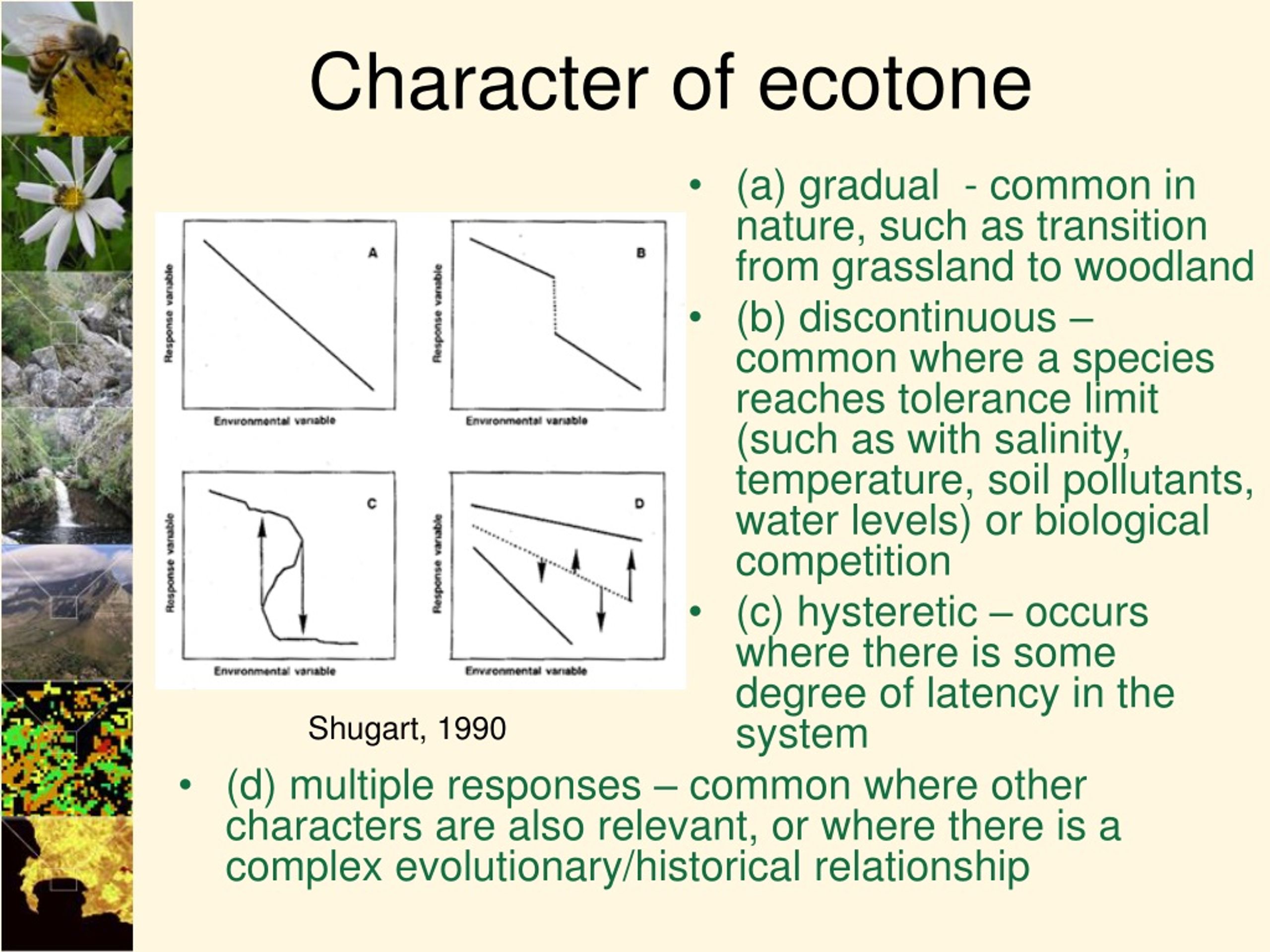definition of ecotone