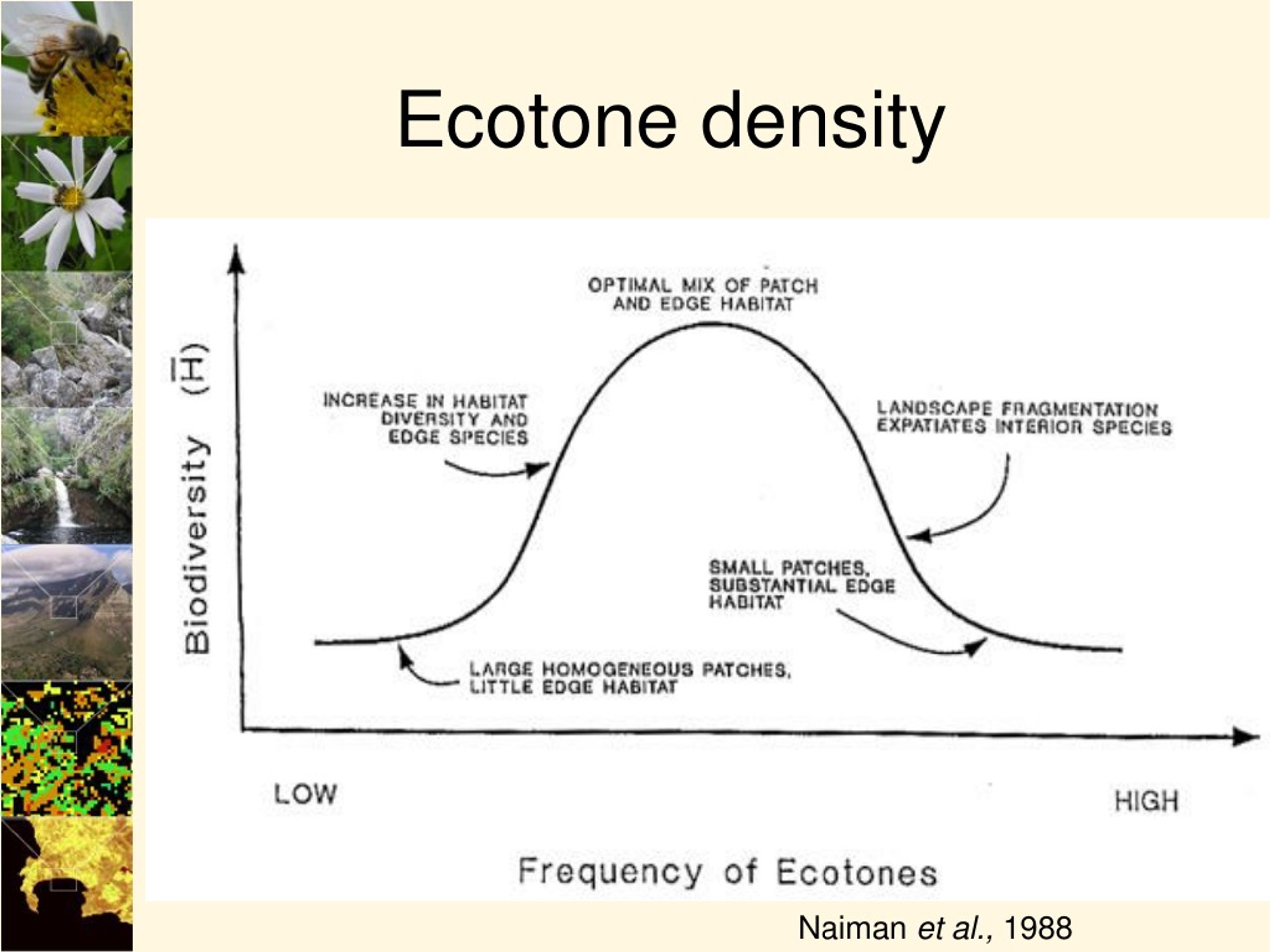 ecotone edge effects landscape