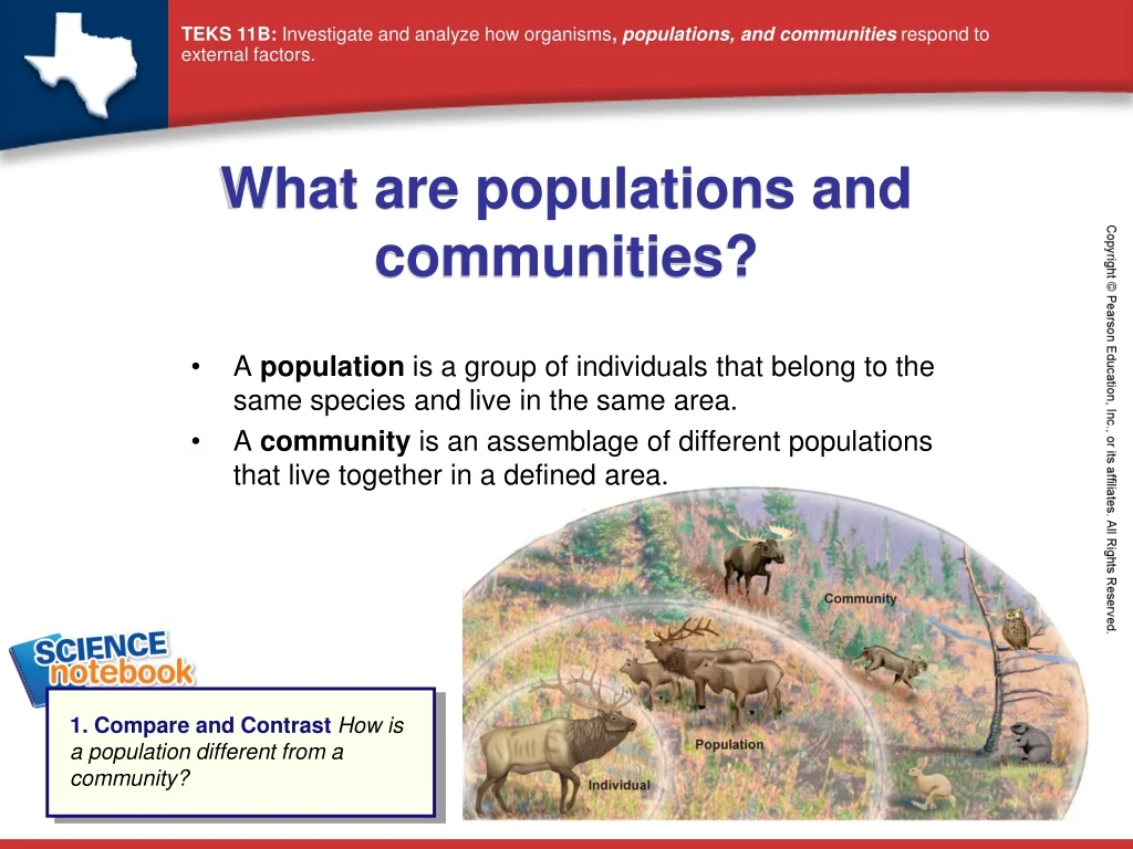 ppt-what-are-populations-and-communities-powerpoint-presentation