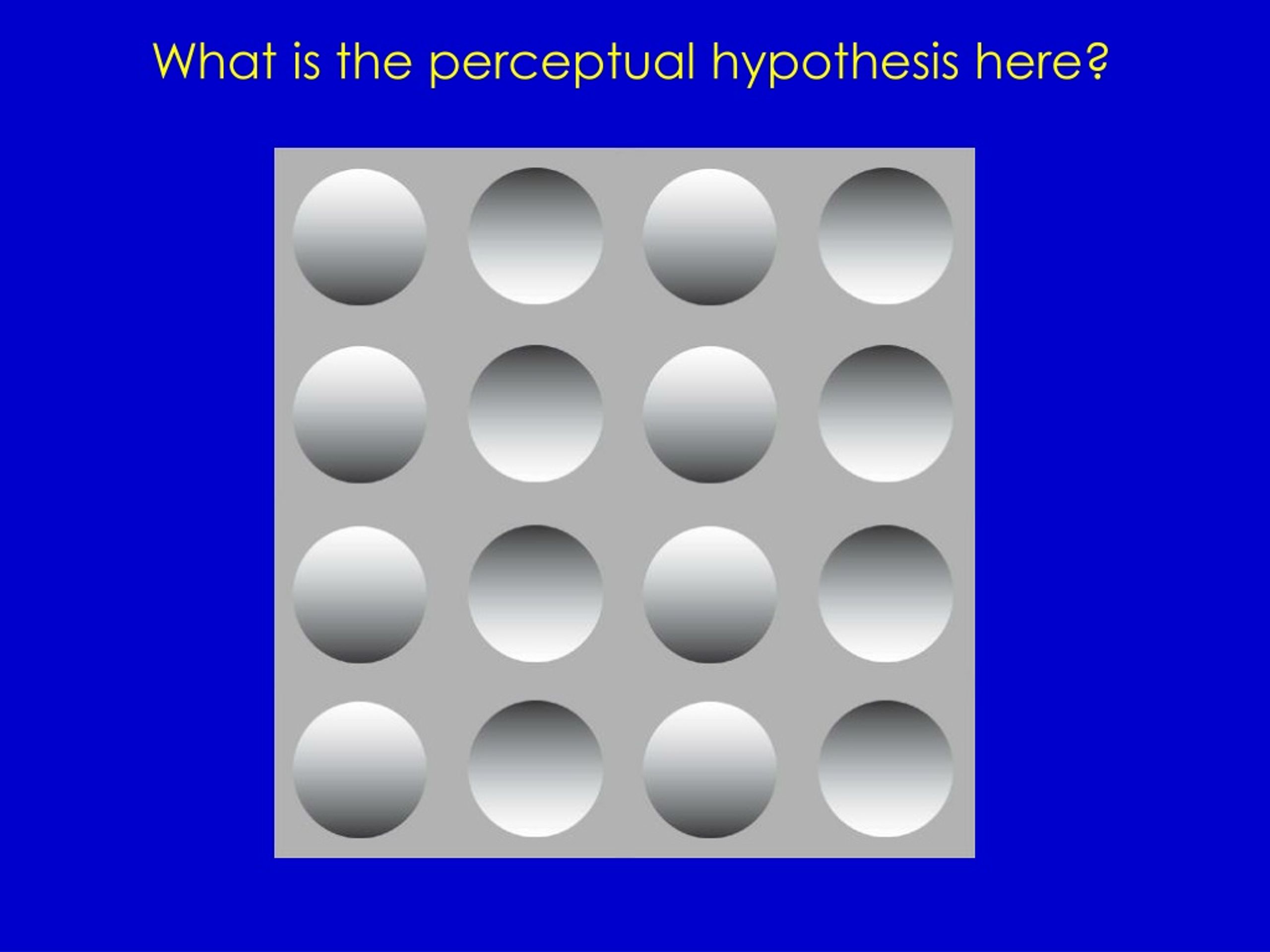what perceptual hypothesis