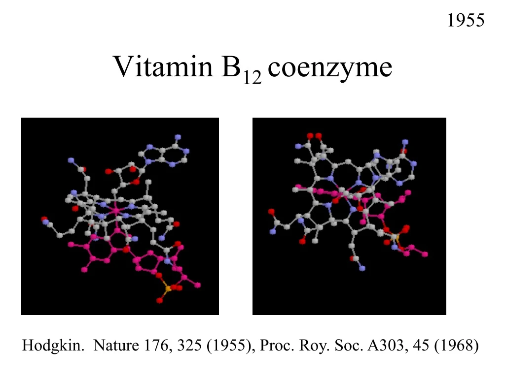 PPT Vitamin B 12 coenzyme PowerPoint Presentation, free download ID