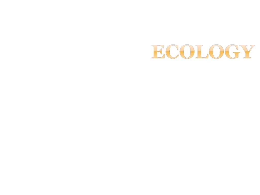 ecology n.