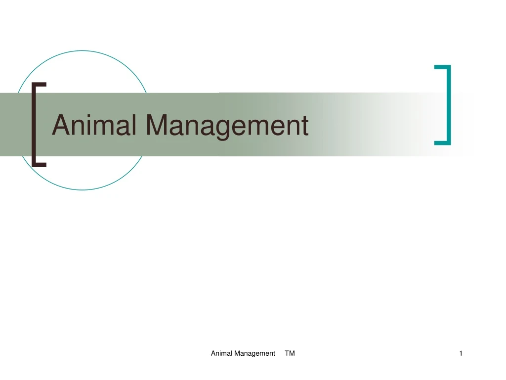 PPT Animal Management PowerPoint Presentation, free download ID9111319