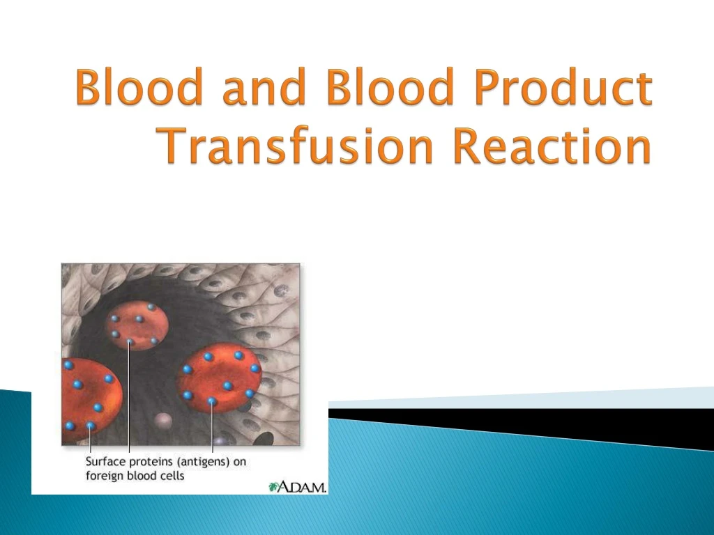 PPT - Blood And Blood Product Transfusion Reaction PowerPoint ...