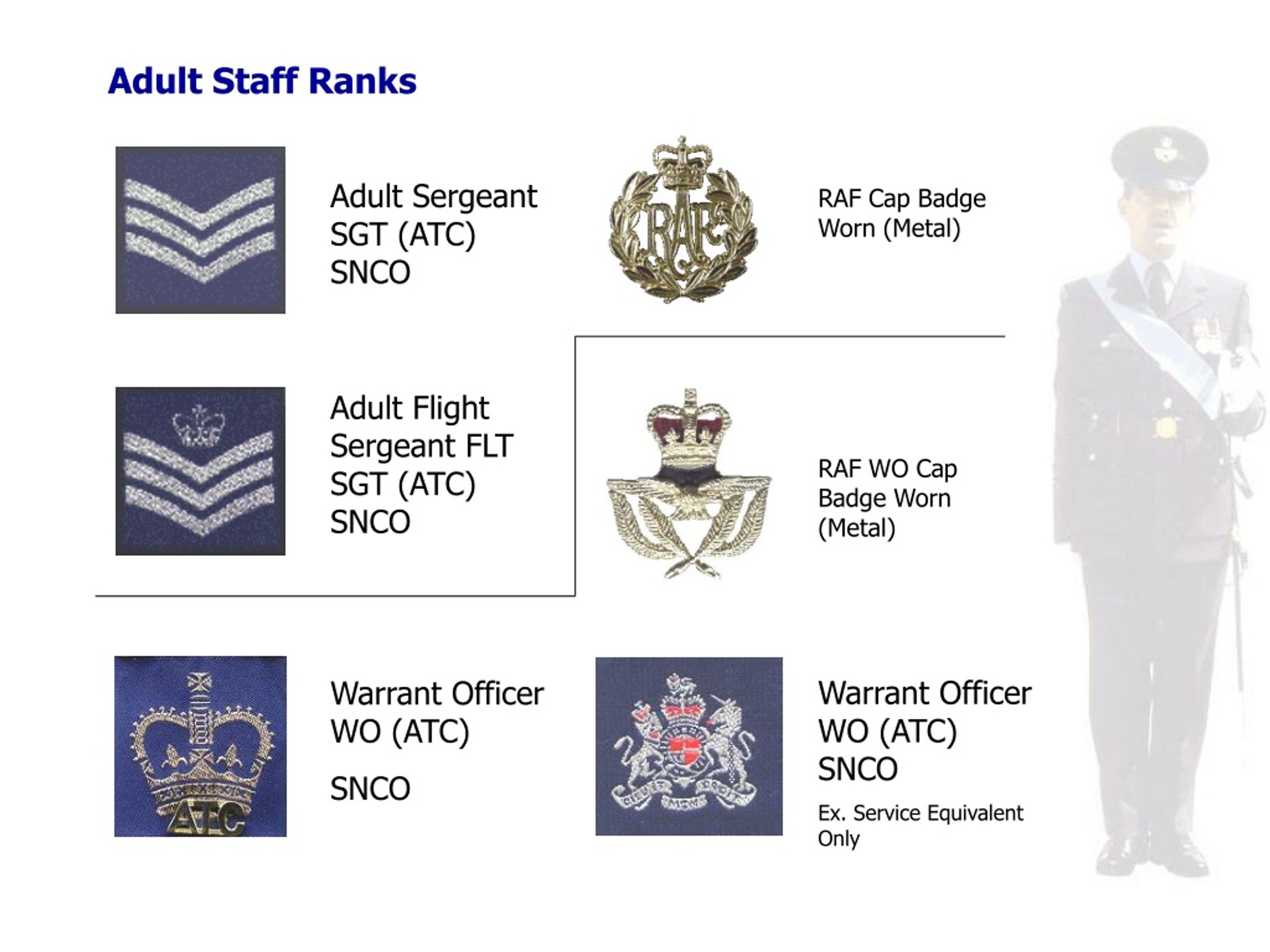 PPT - THE AIR TRAINING CORPS PowerPoint Presentation, free download ...