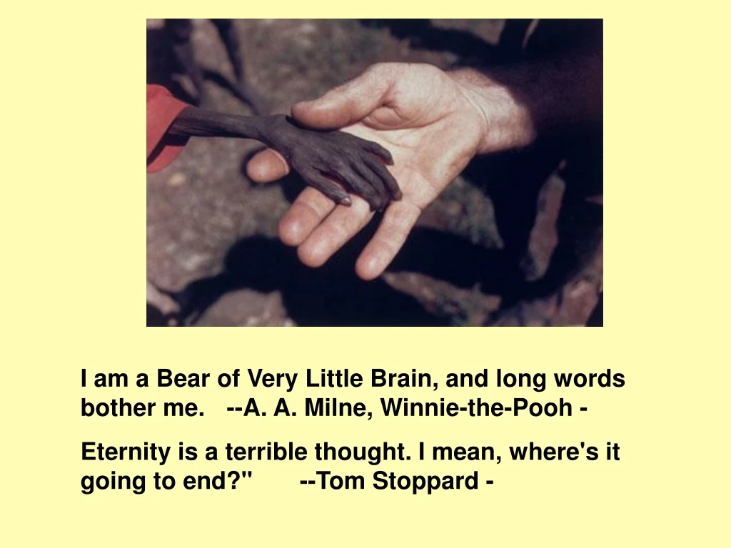 PPT - I Am A Bear Of Very Little Brain, And Long Words Bother Me. --A ...