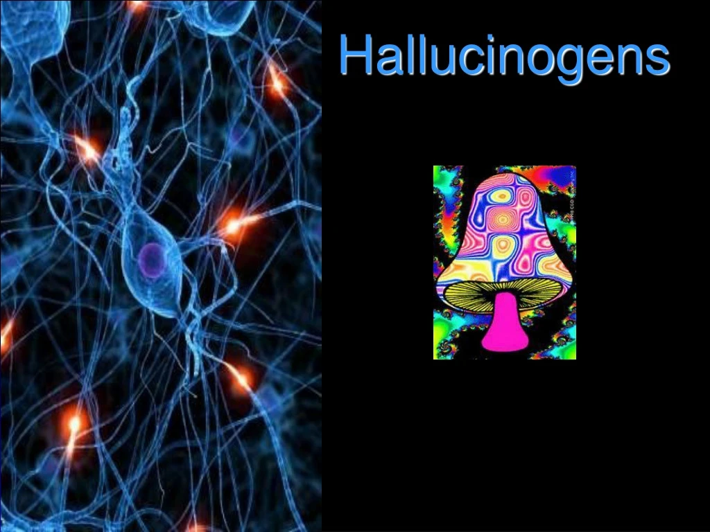 PPT - Hallucinogens PowerPoint Presentation, Free Download - ID:9120549