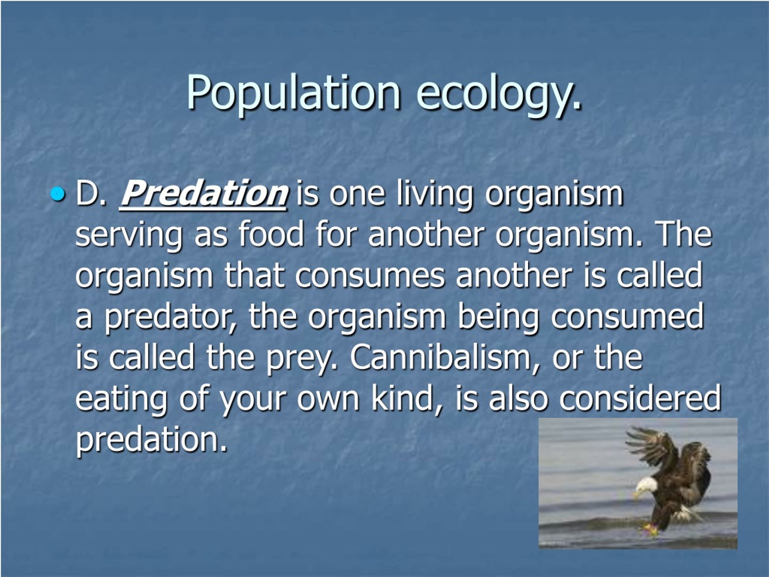 ppt-understanding-ecology-and-ecosystems-powerpoint-presentation