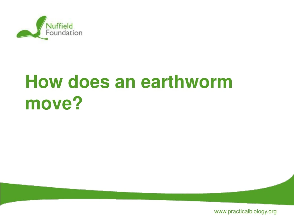 ppt-how-does-an-earthworm-move-powerpoint-presentation-free