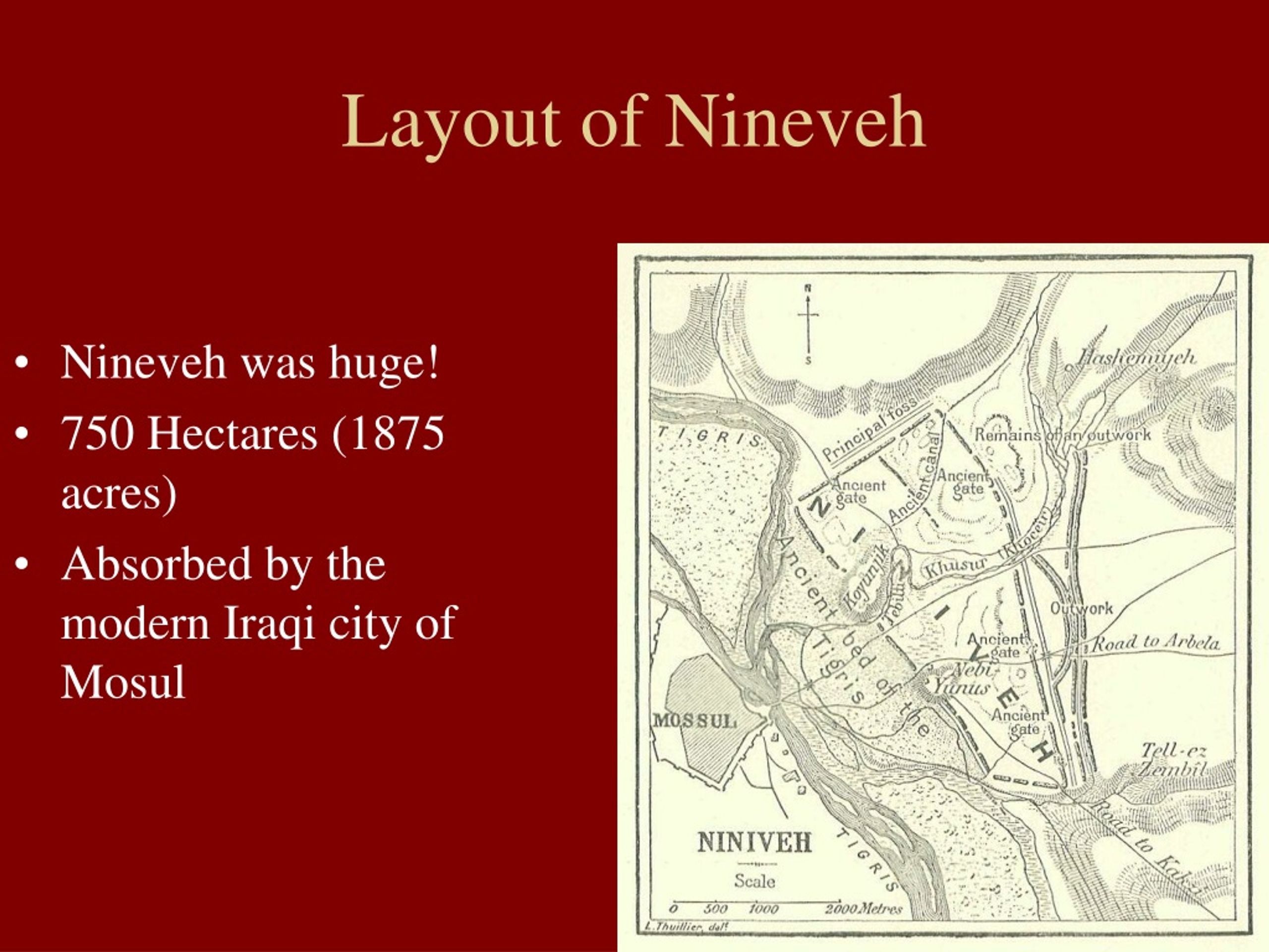 Layout Of Nineveh L 