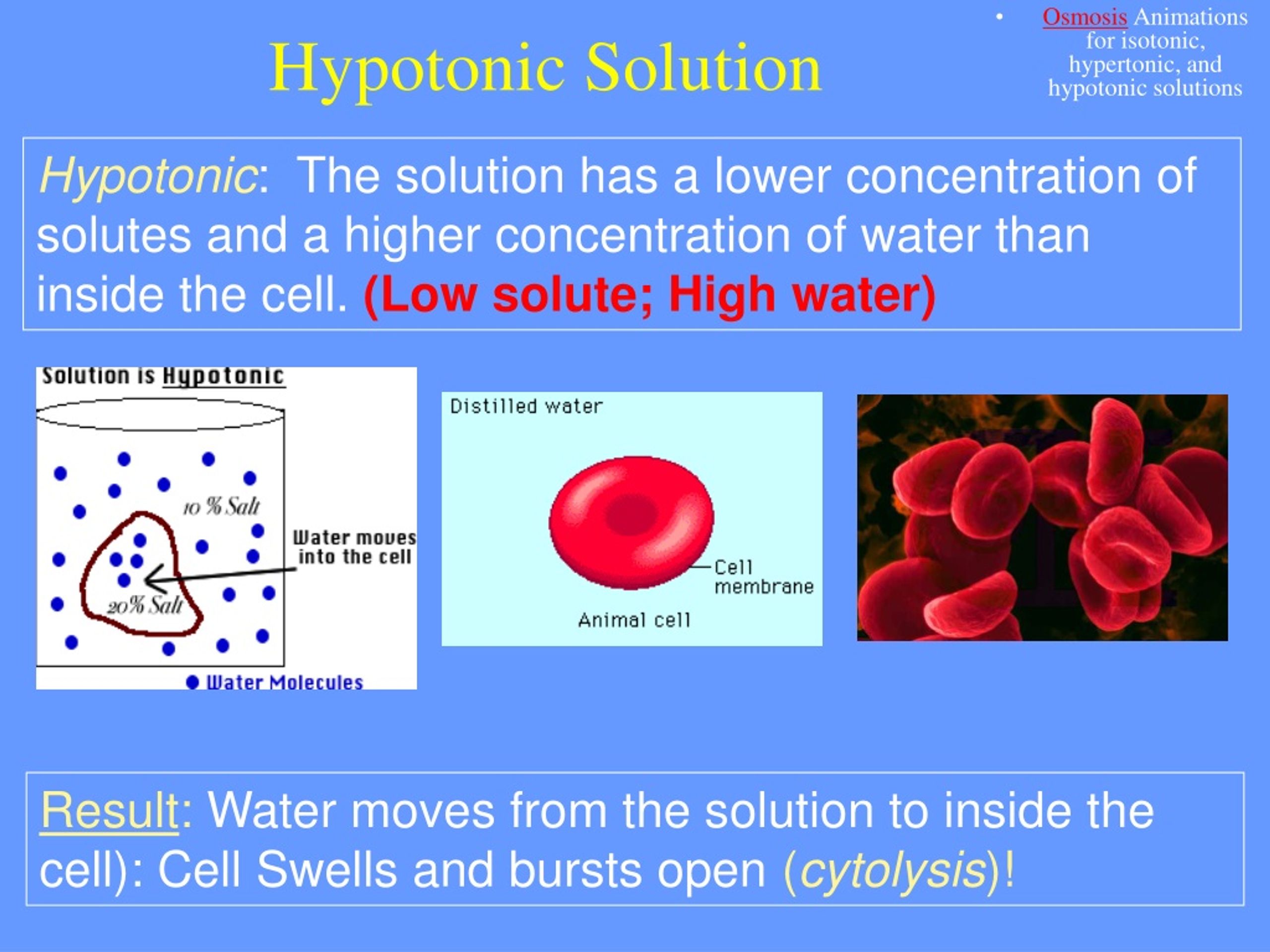 PPT - Cell Membranes Osmosis and Diffusion PowerPoint Presentation ...