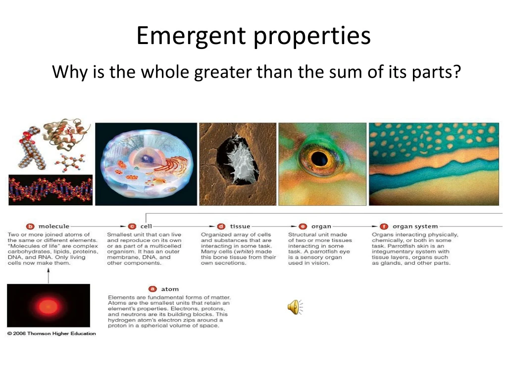 ppt-emergent-properties-why-is-the-whole-greater-than-the-sum-of-its