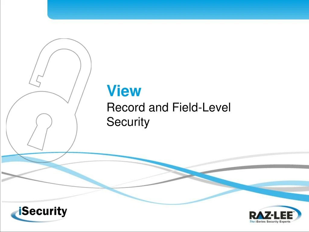 view record and field level security n.