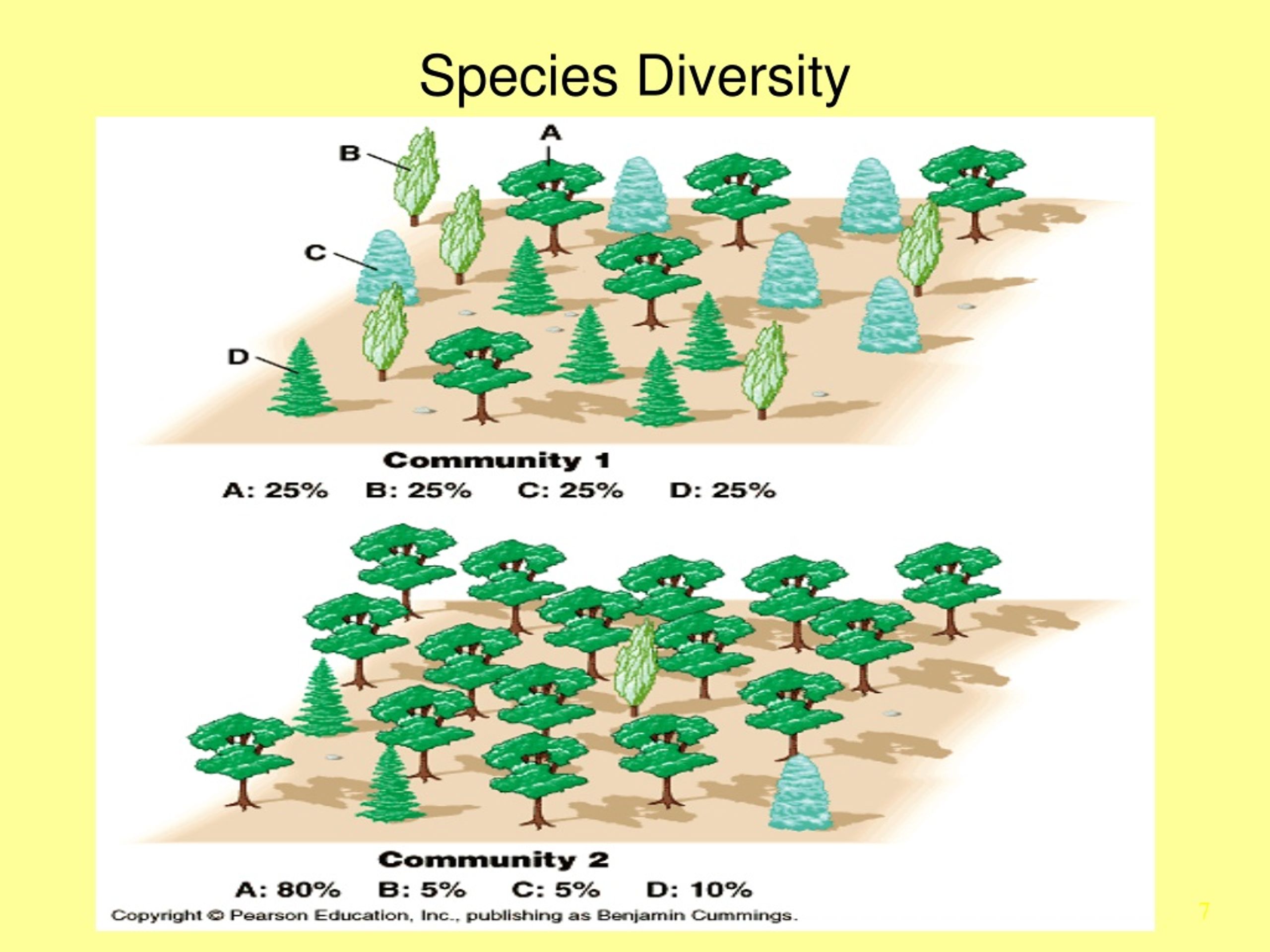PPT - Species Abundance and Diversity PowerPoint Presentation, free