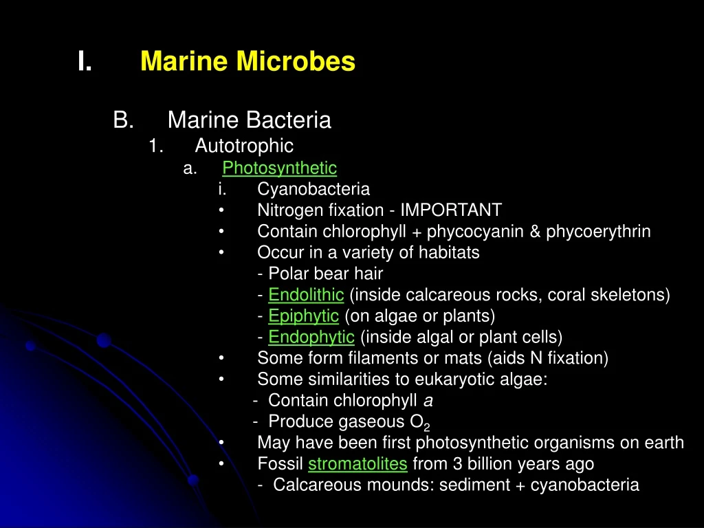 marine microbes marine bacteria autotrophic n.