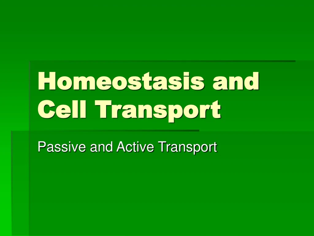 PPT - Homeostasis and Cell Transport PowerPoint Presentation, free ...