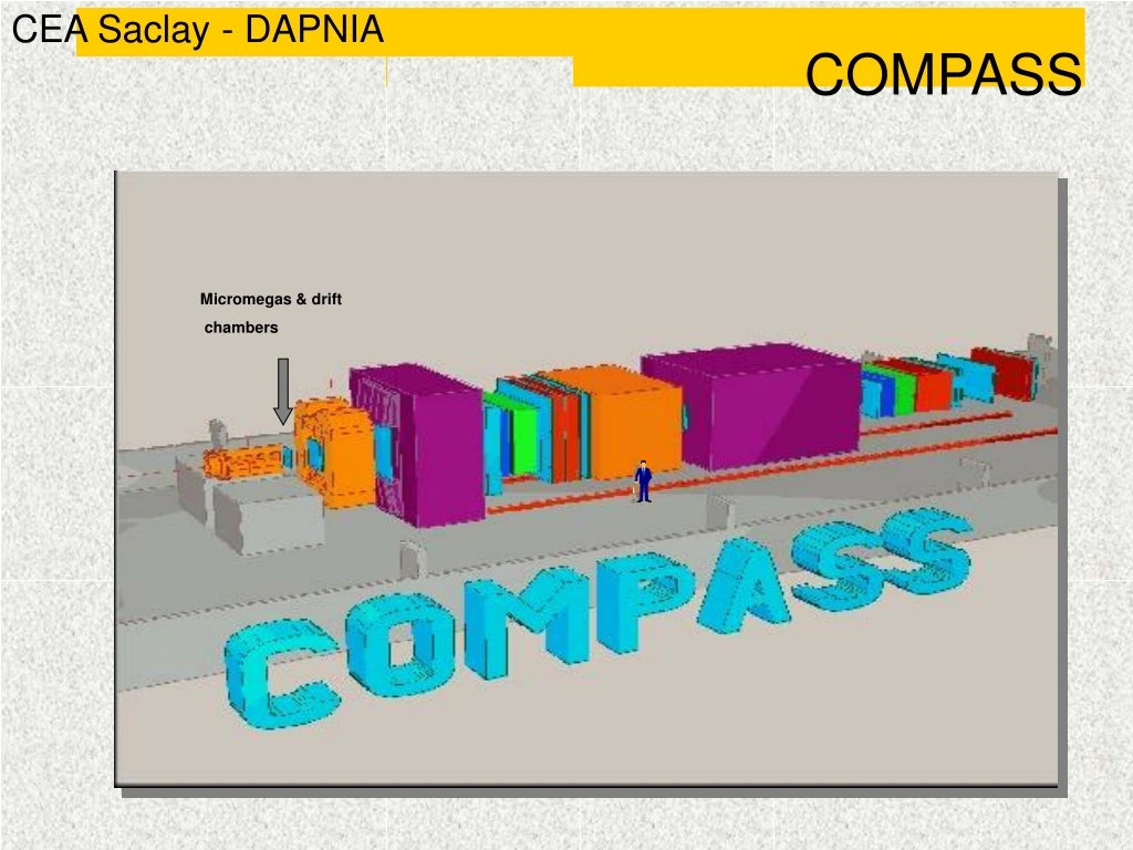 cea saclay dapnia n.