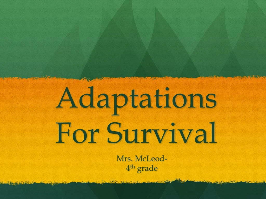 PPT - Adaptations For Survival PowerPoint Presentation, Free Download ...