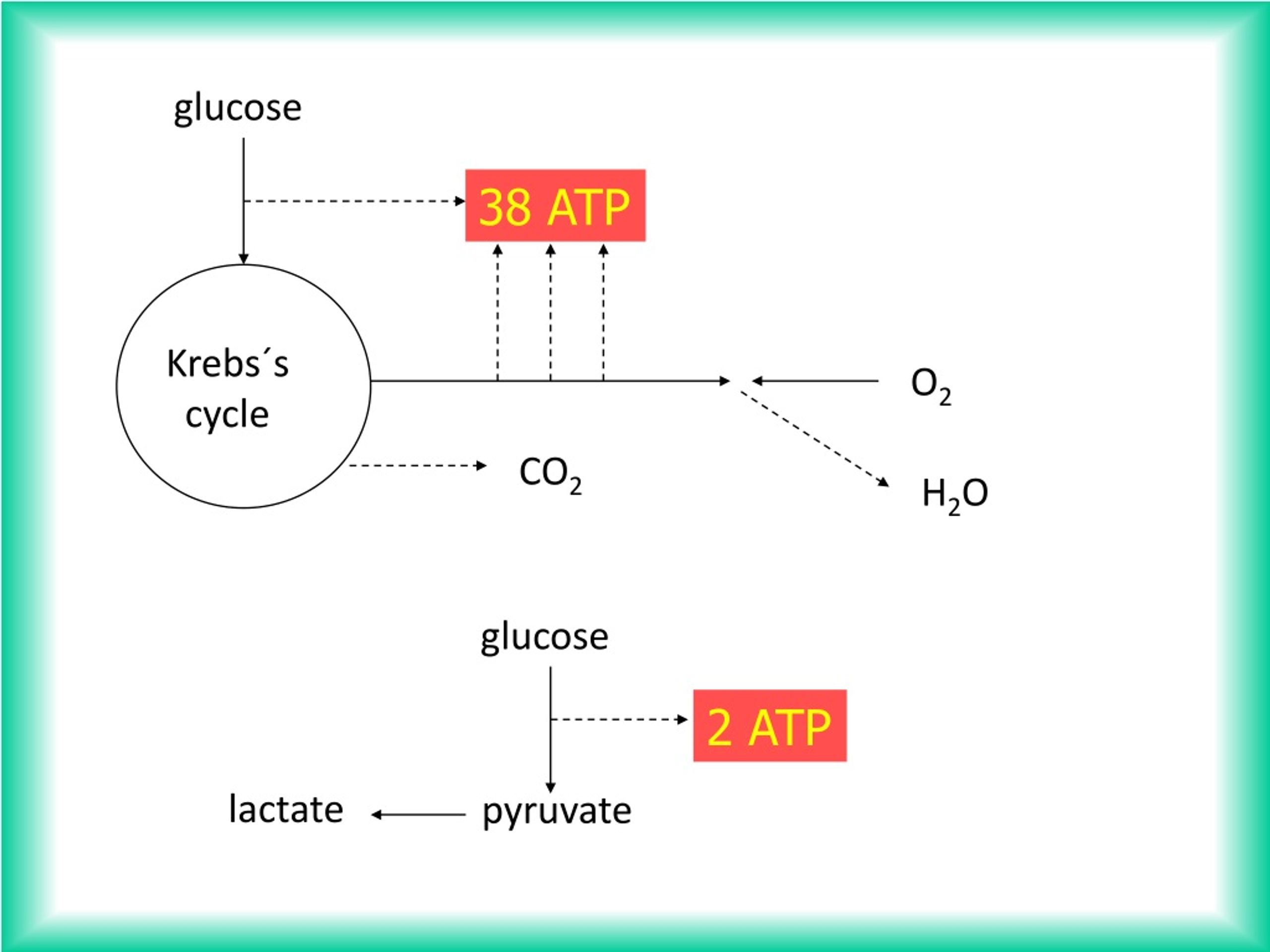 PPT - HYPOXIA RESPIRATORY FAILURE PowerPoint Presentation, free ...