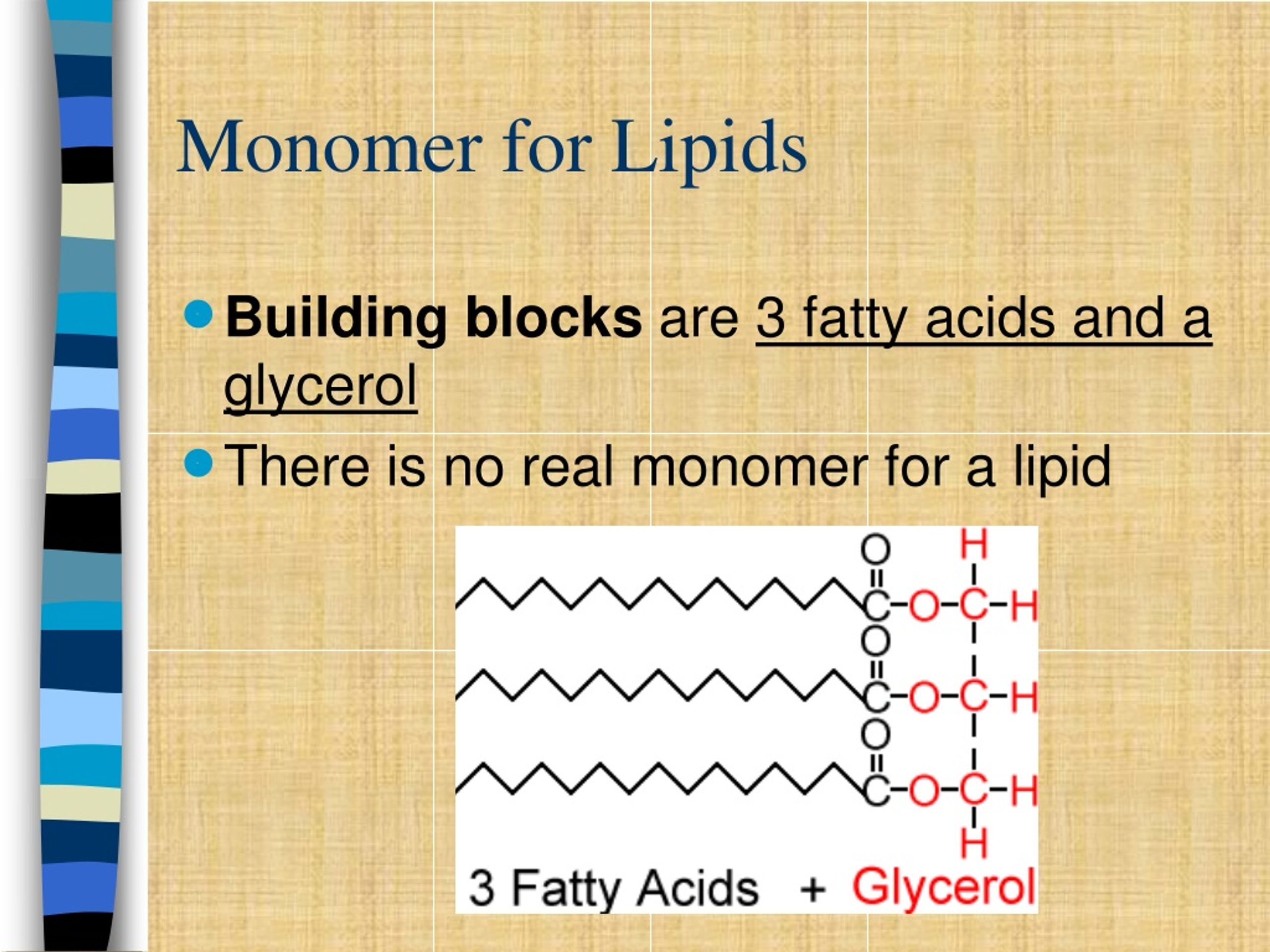 What Are The Monomers Building Blocks Of Lipids