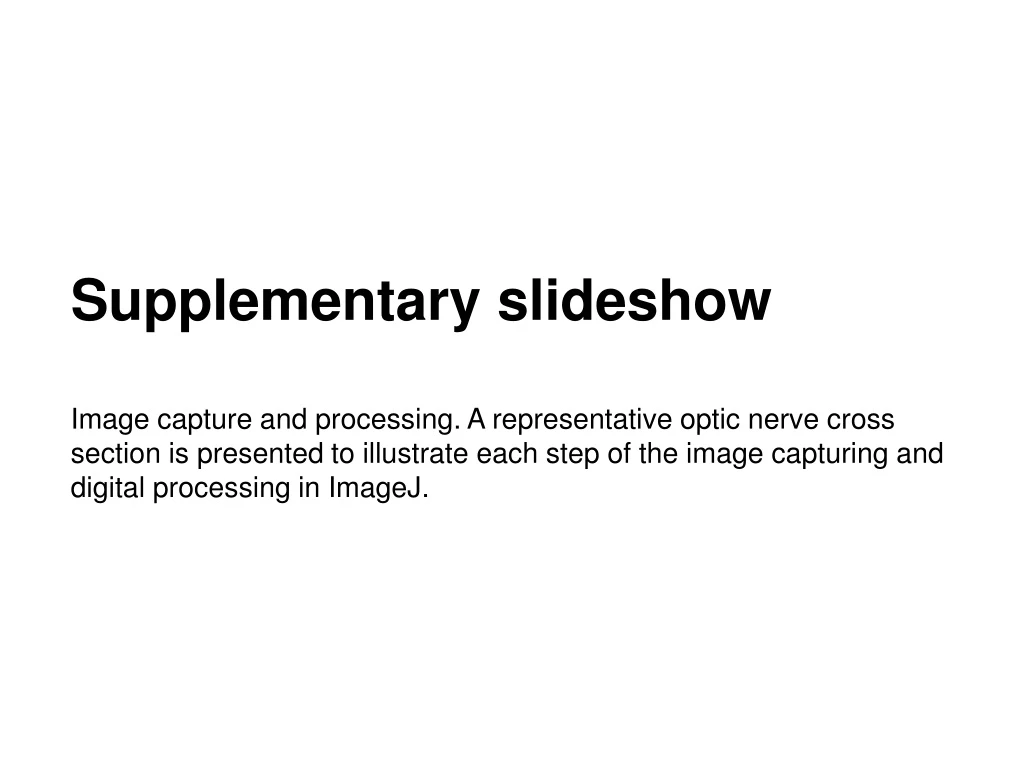 supplementary slideshow image capture n.