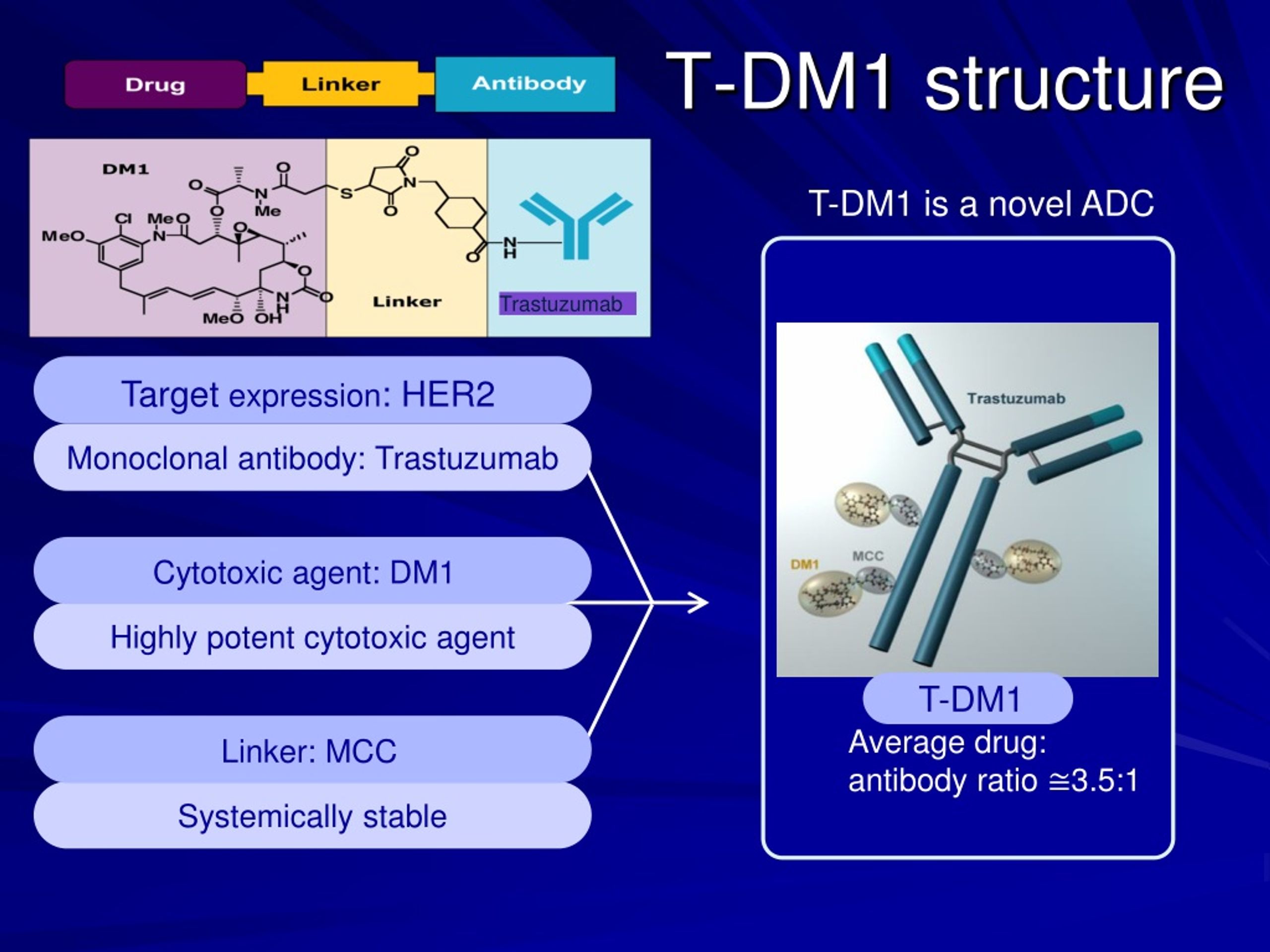 dm1 diagnostics dm1 diagnostics