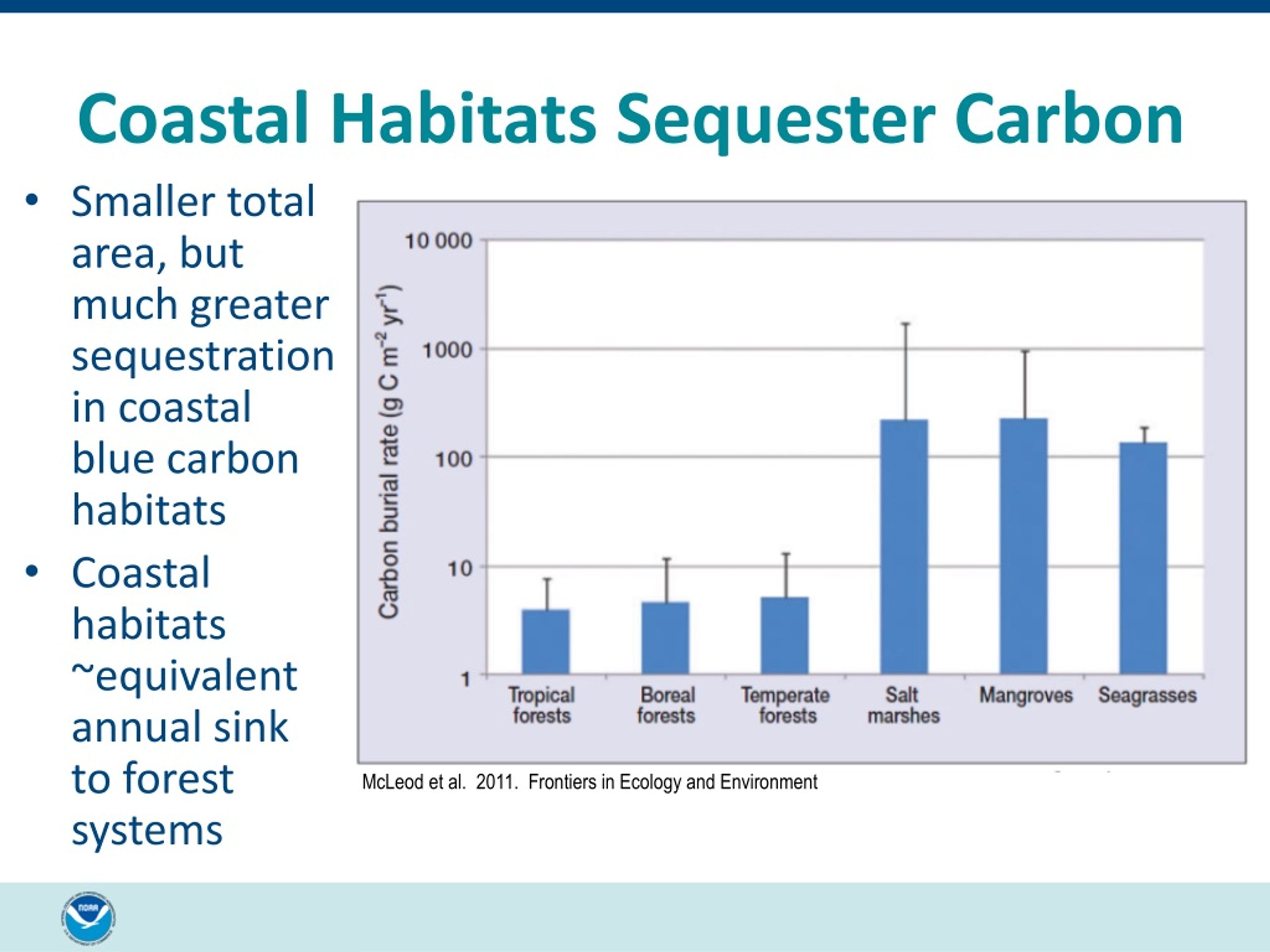 PPT - What Is “Coastal Blue Carbon”? PowerPoint Presentation, Free ...