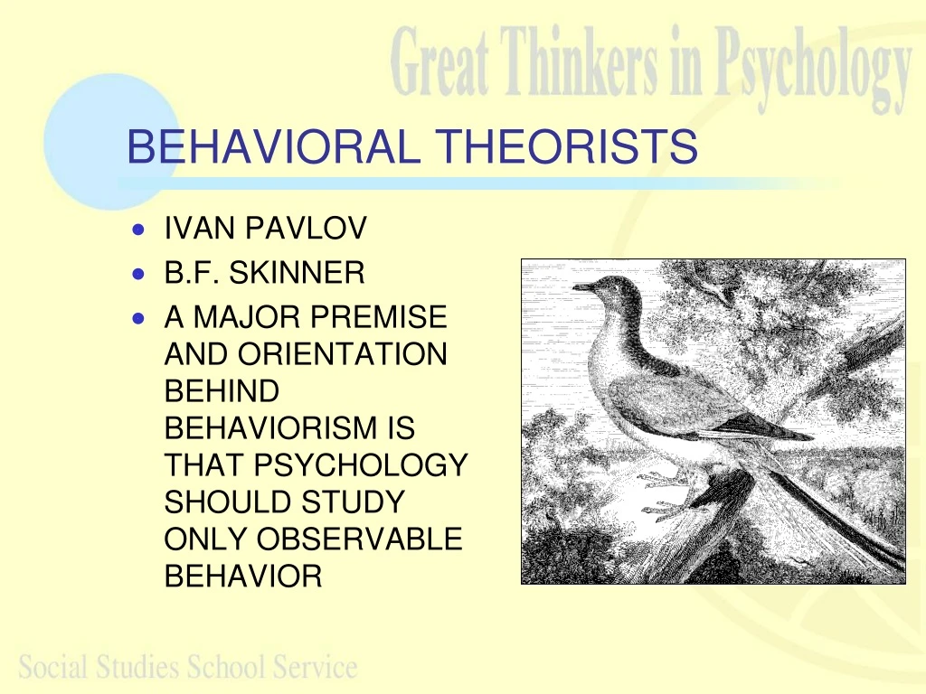 behavioral theorists n.