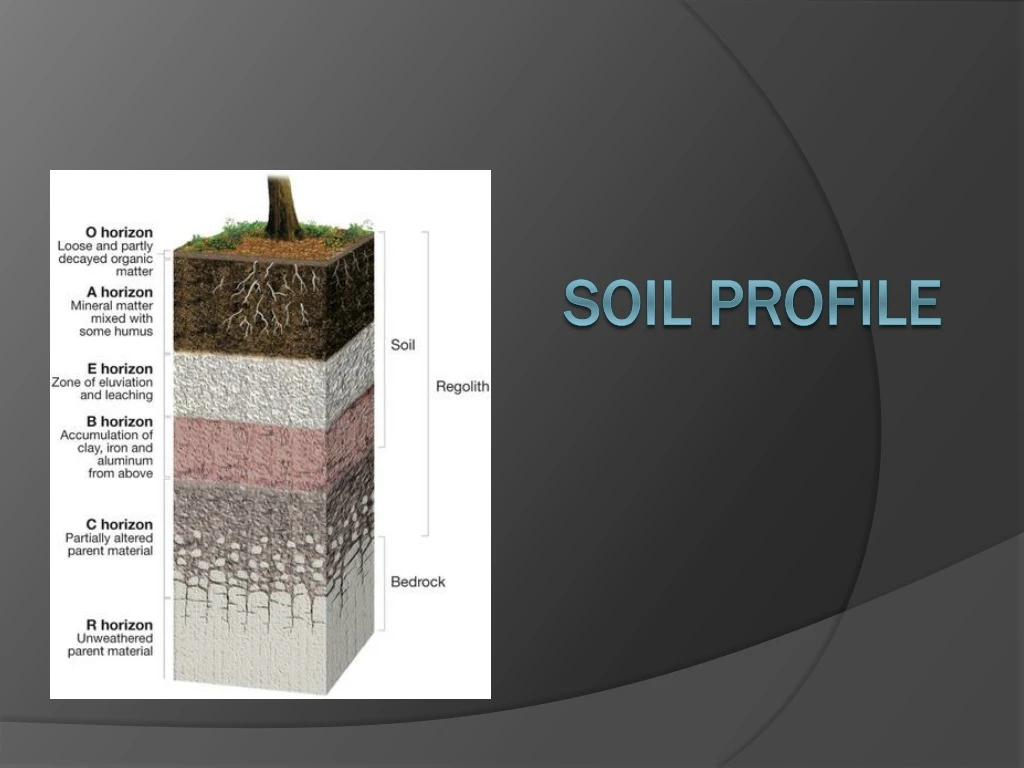 soil profile n.