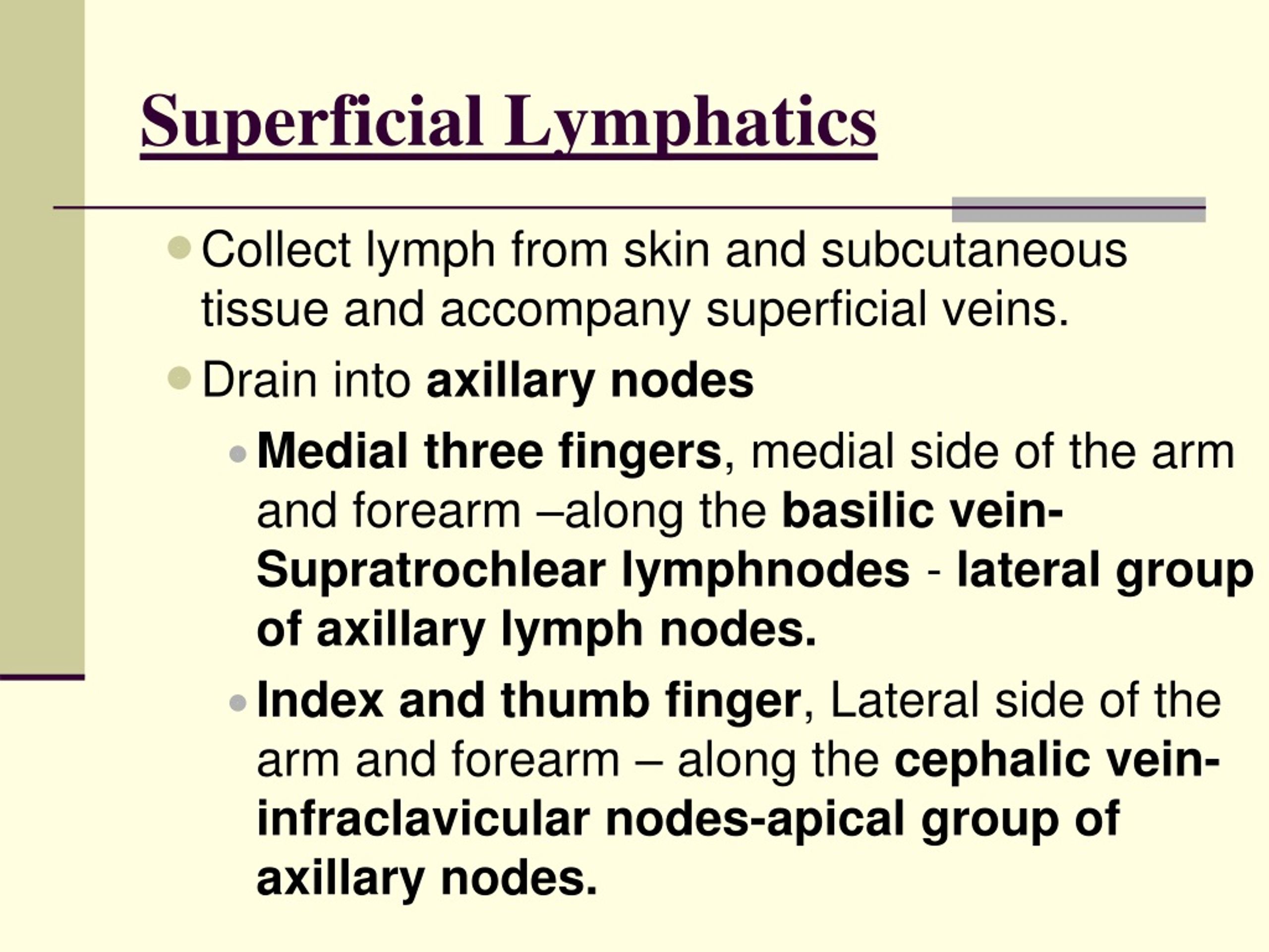 Ppt Venous Drainage And Lymphatics Of The Upper Limb Powerpoint