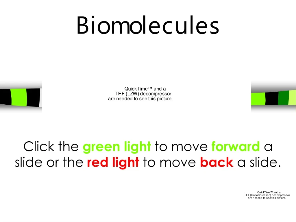 PPT - Biomolecules PowerPoint Presentation, Free Download - ID:9142410