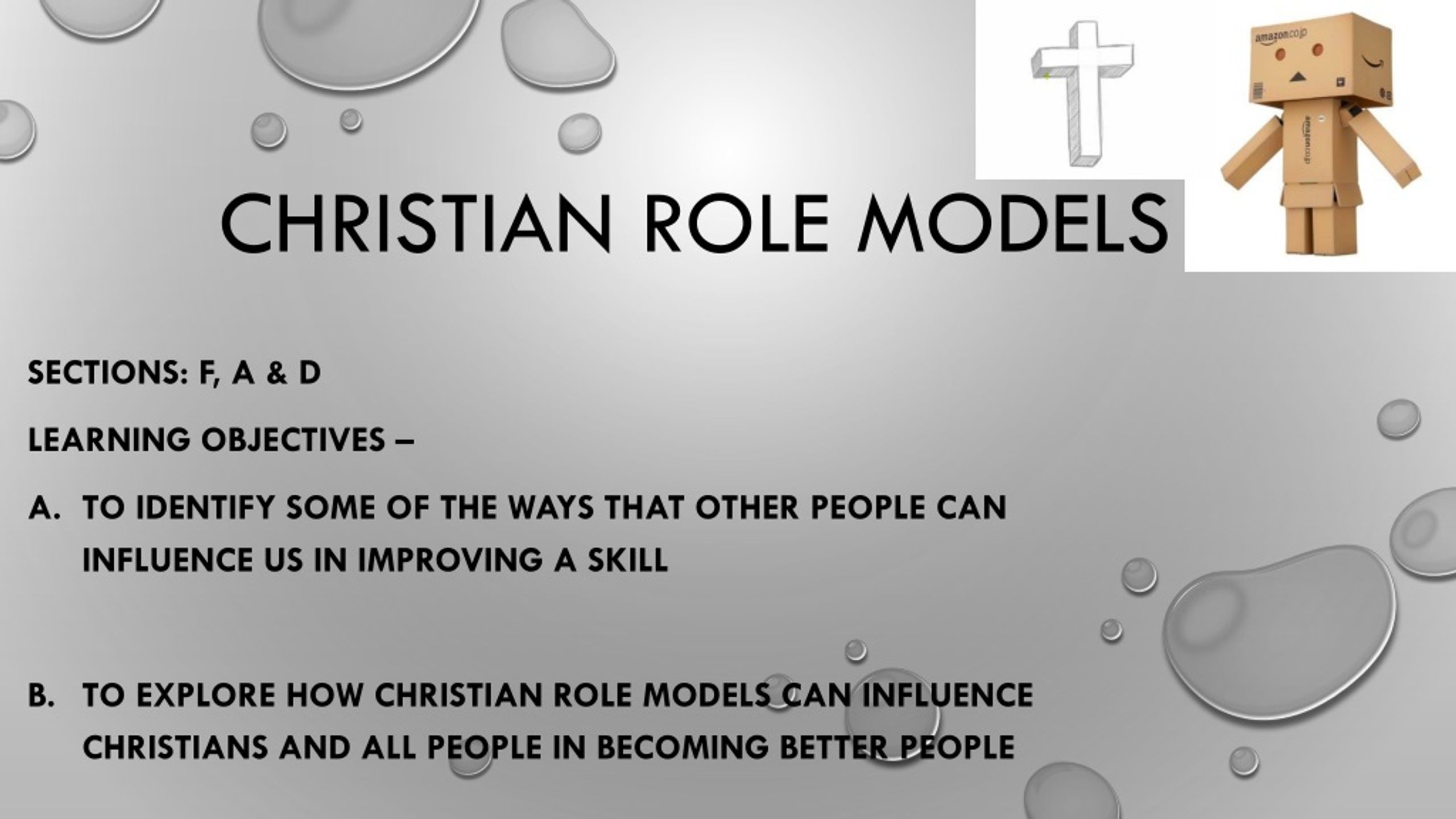 paragraph on role models can influence lives