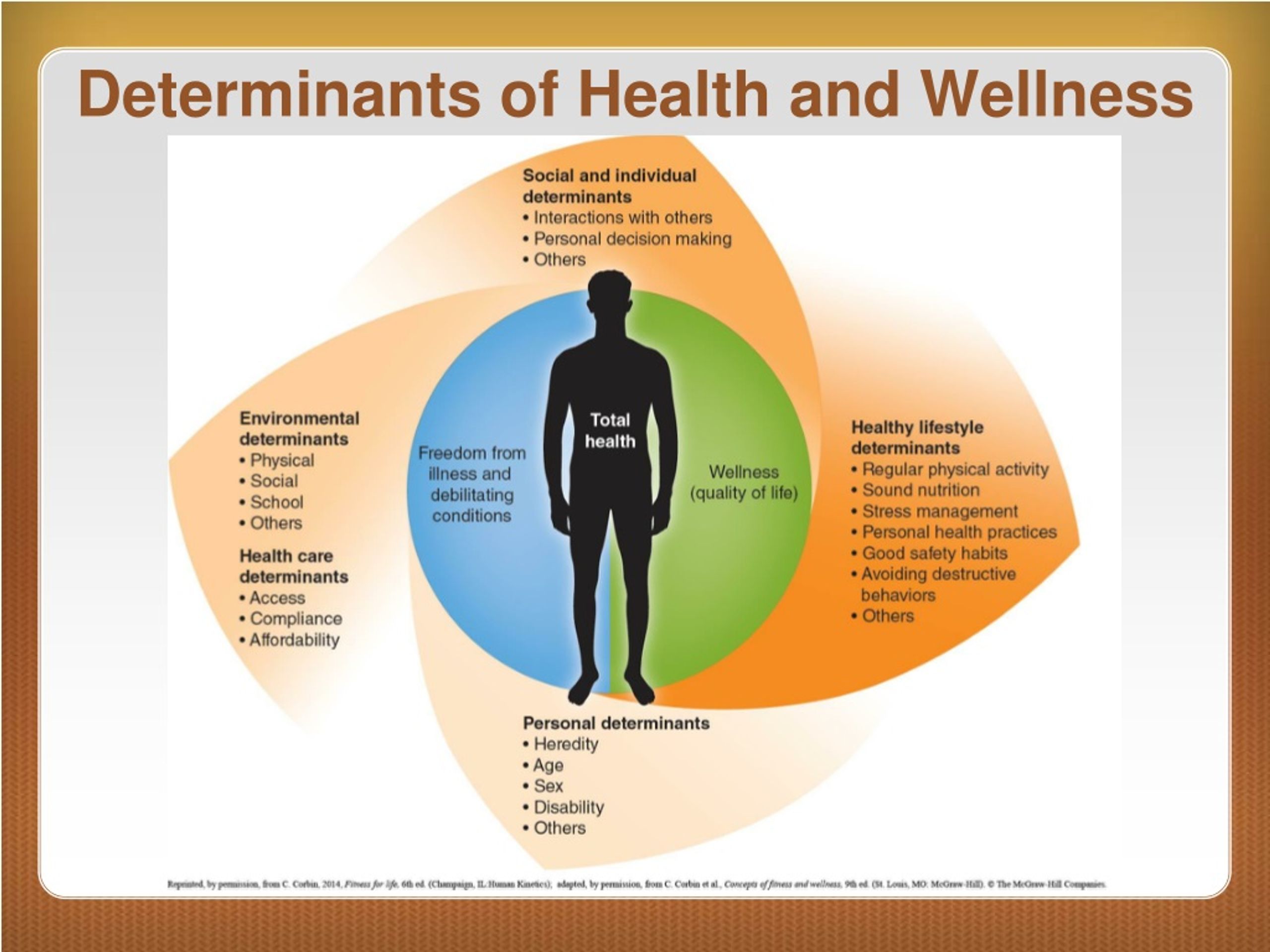 determinants of health presentation
