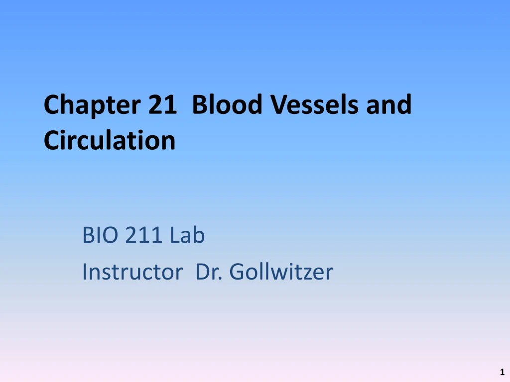 PPT - Chapter 21 Blood Vessels And Circulation PowerPoint Presentation ...