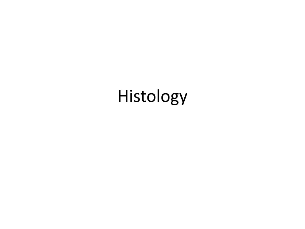 PPT - Histology PowerPoint Presentation, free download - ID:9145321