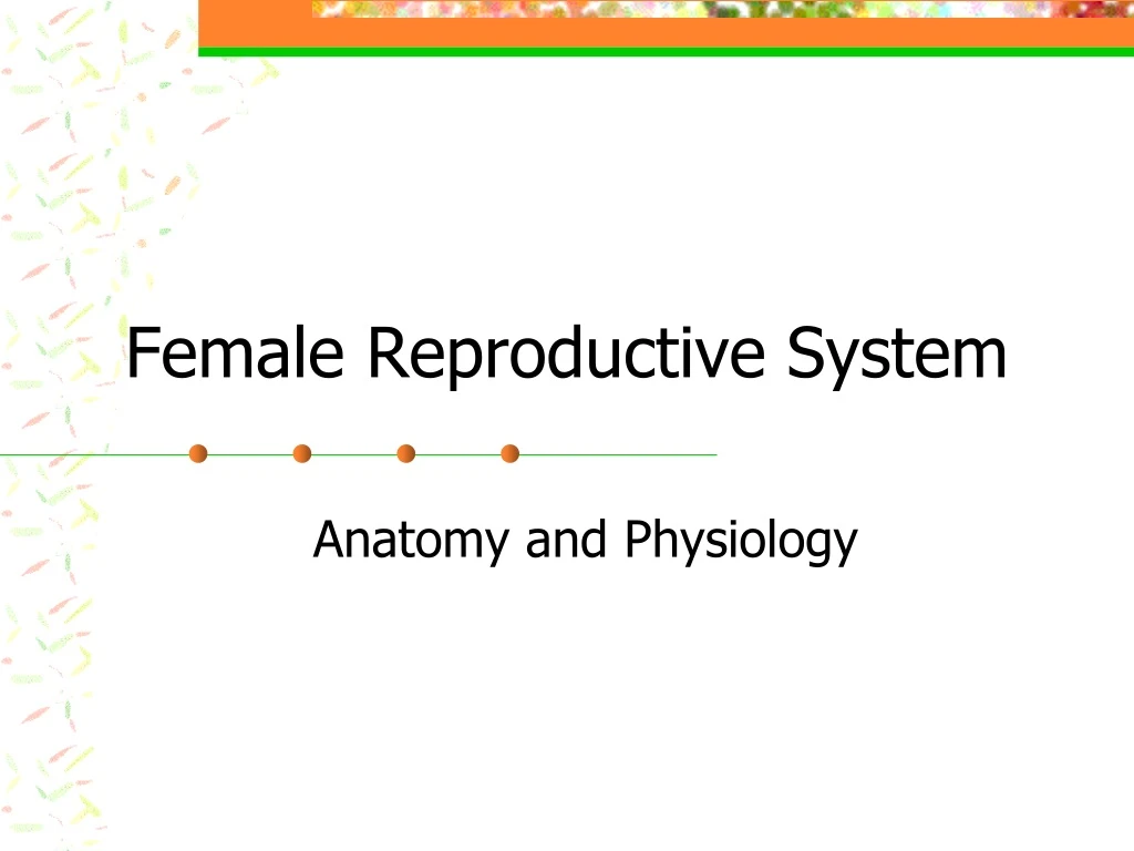 PPT - Female Reproductive System PowerPoint Presentation, free download ...