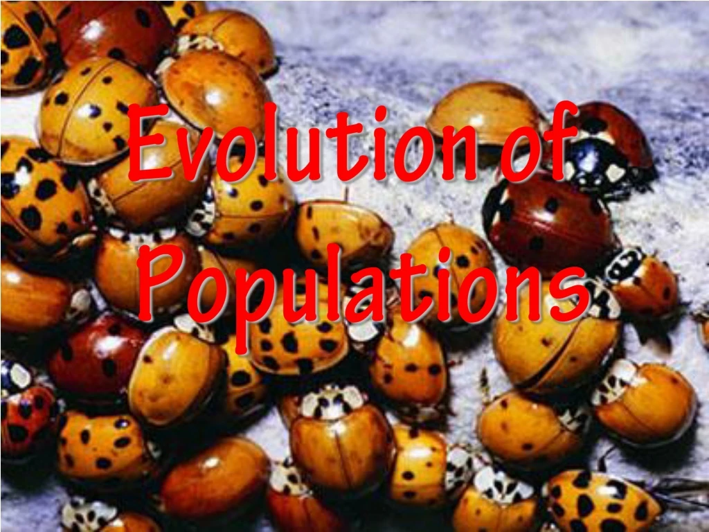 PPT - Evolution Of Populations PowerPoint Presentation, Free Download ...