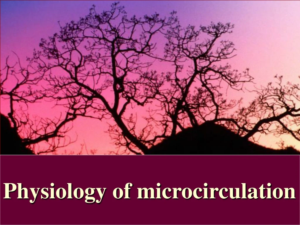 PPT - Physiology of microcirculation PowerPoint Presentation, free ...