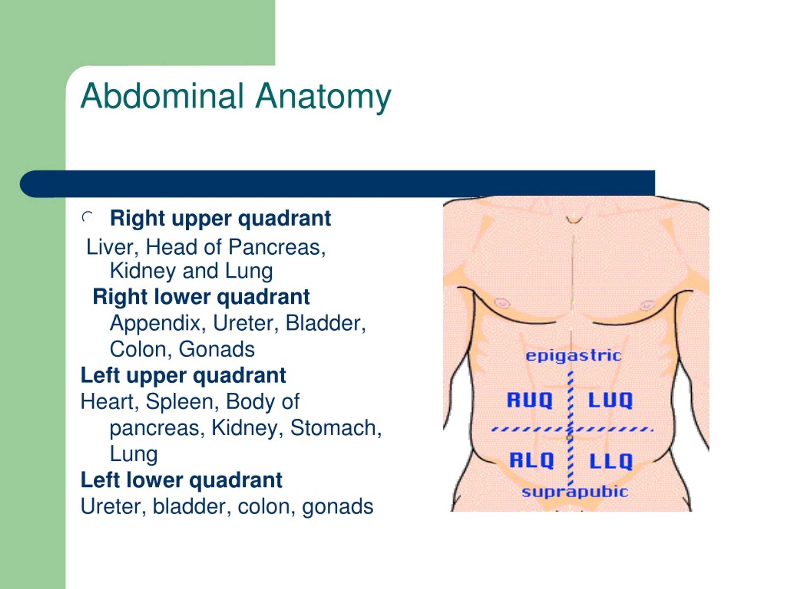 Ppt Approach To The Patient With Acute Abdominal Pain Powerpoint