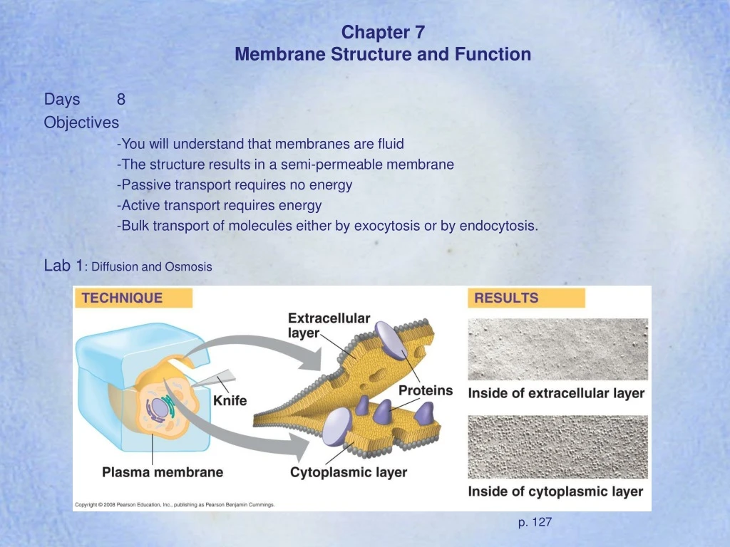 PPT - Chapter 7 Membrane Structure And Function PowerPoint Presentation ...