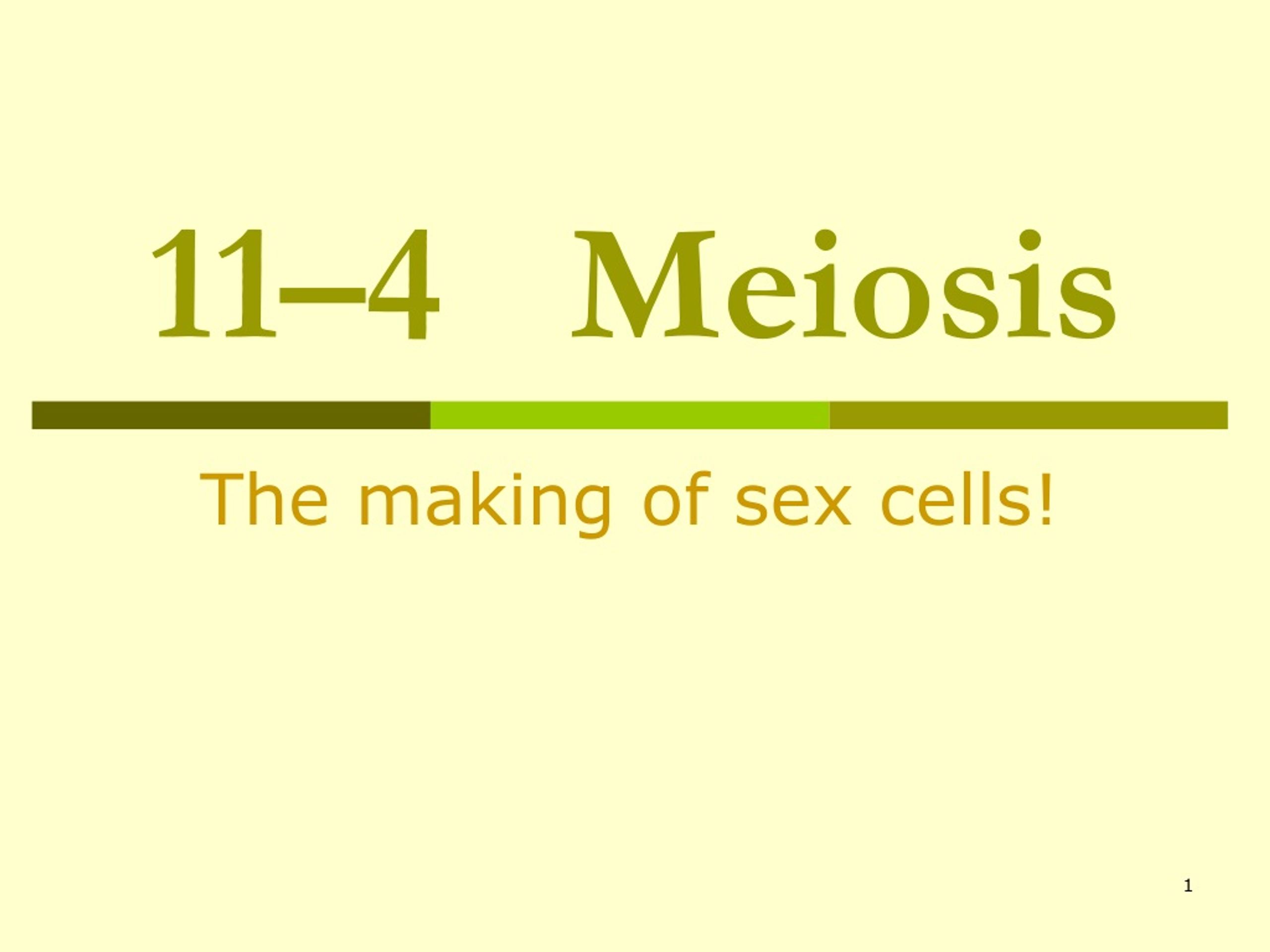 Ppt 11–4 Meiosis Powerpoint Presentation Free Download Id 9153193