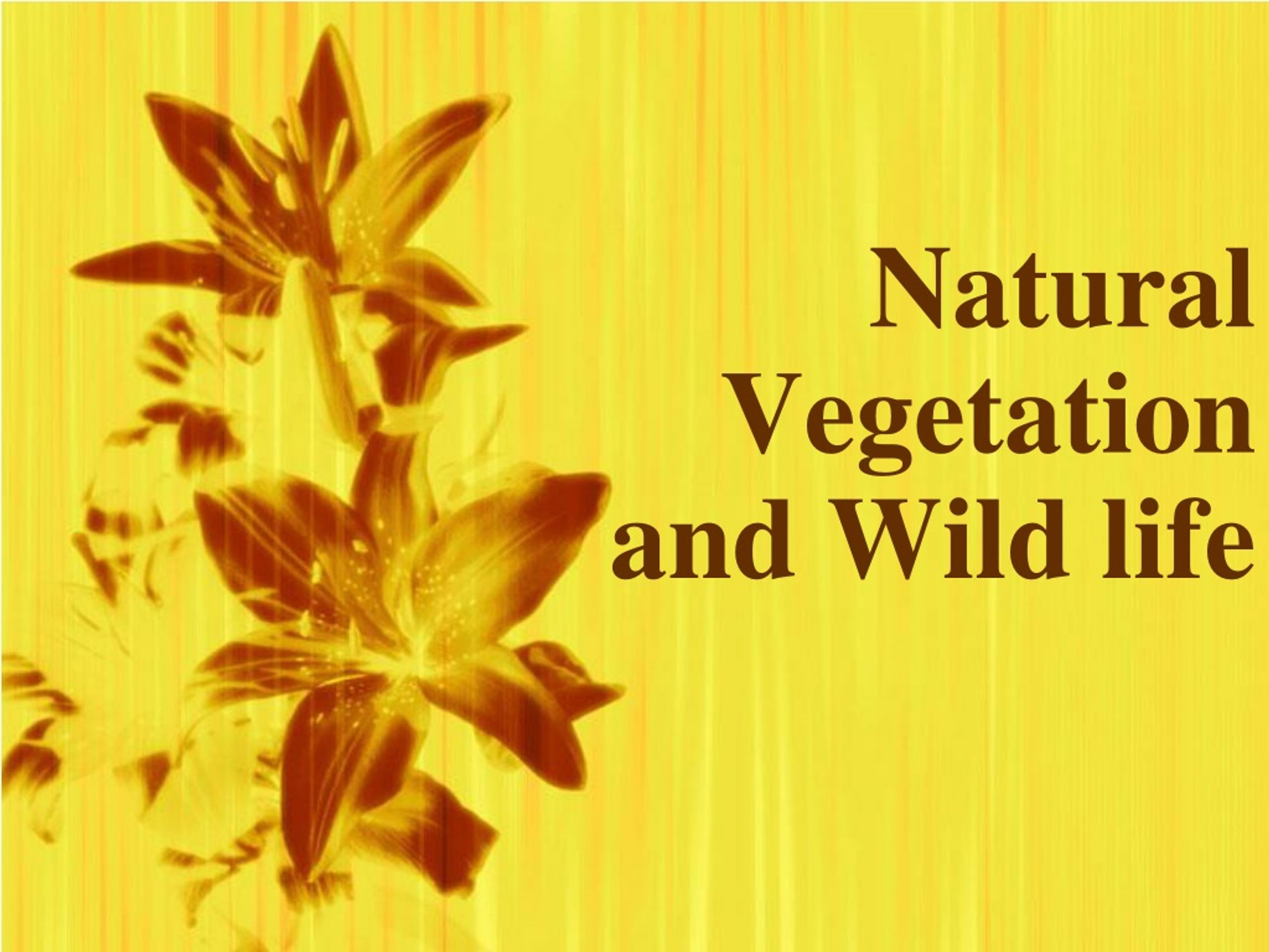 natural vegetation and wildlife ppt presentation free download