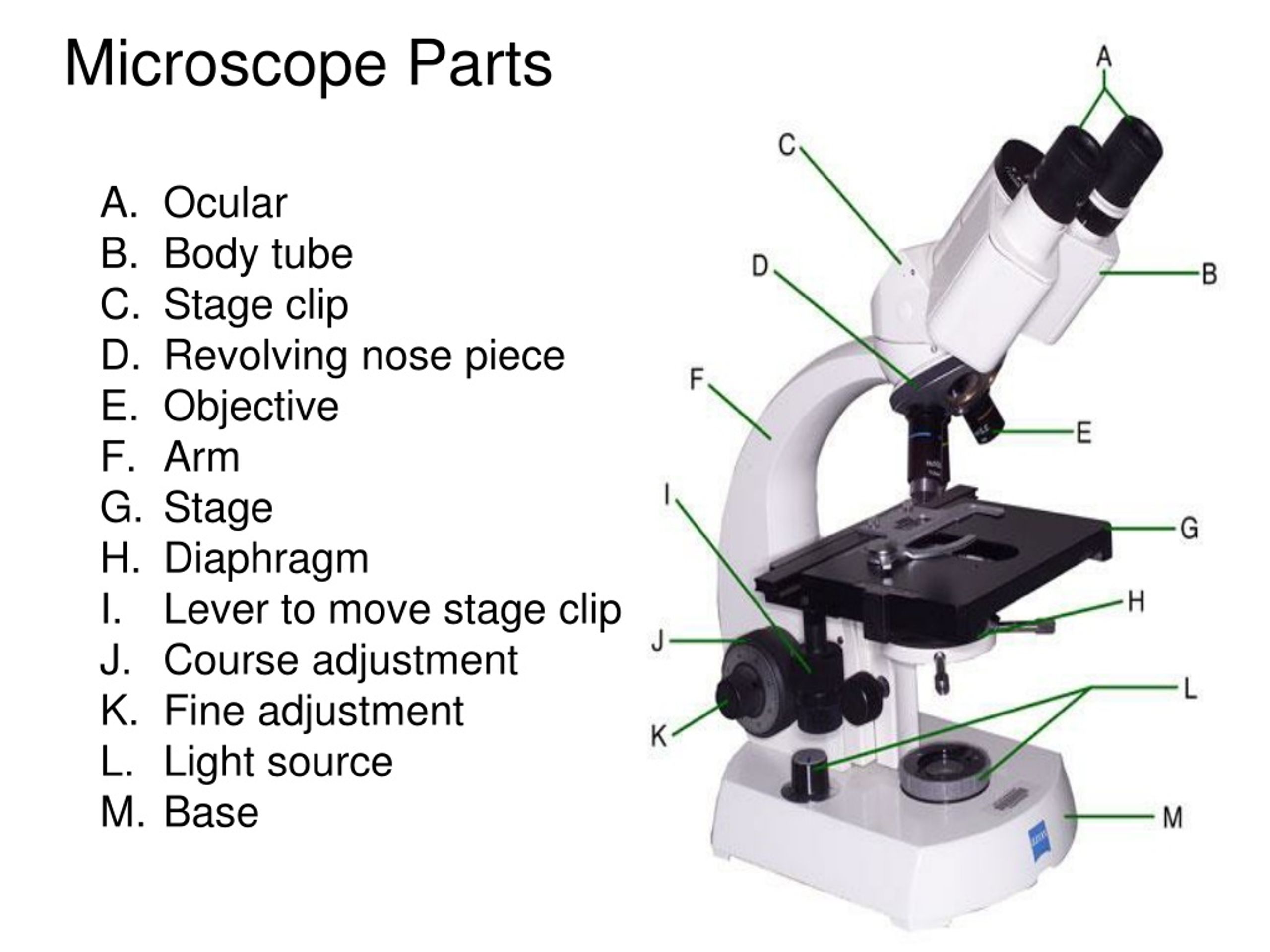 PPT - Diffusion, Microscope & Cell Lab PowerPoint Presentation - ID:9160195