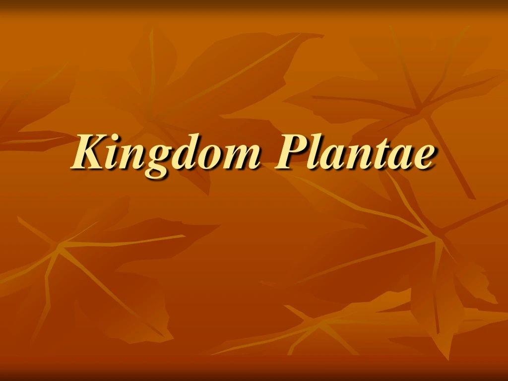 PPT - Kingdom Plantae PowerPoint Presentation, Free Download - ID:9161559