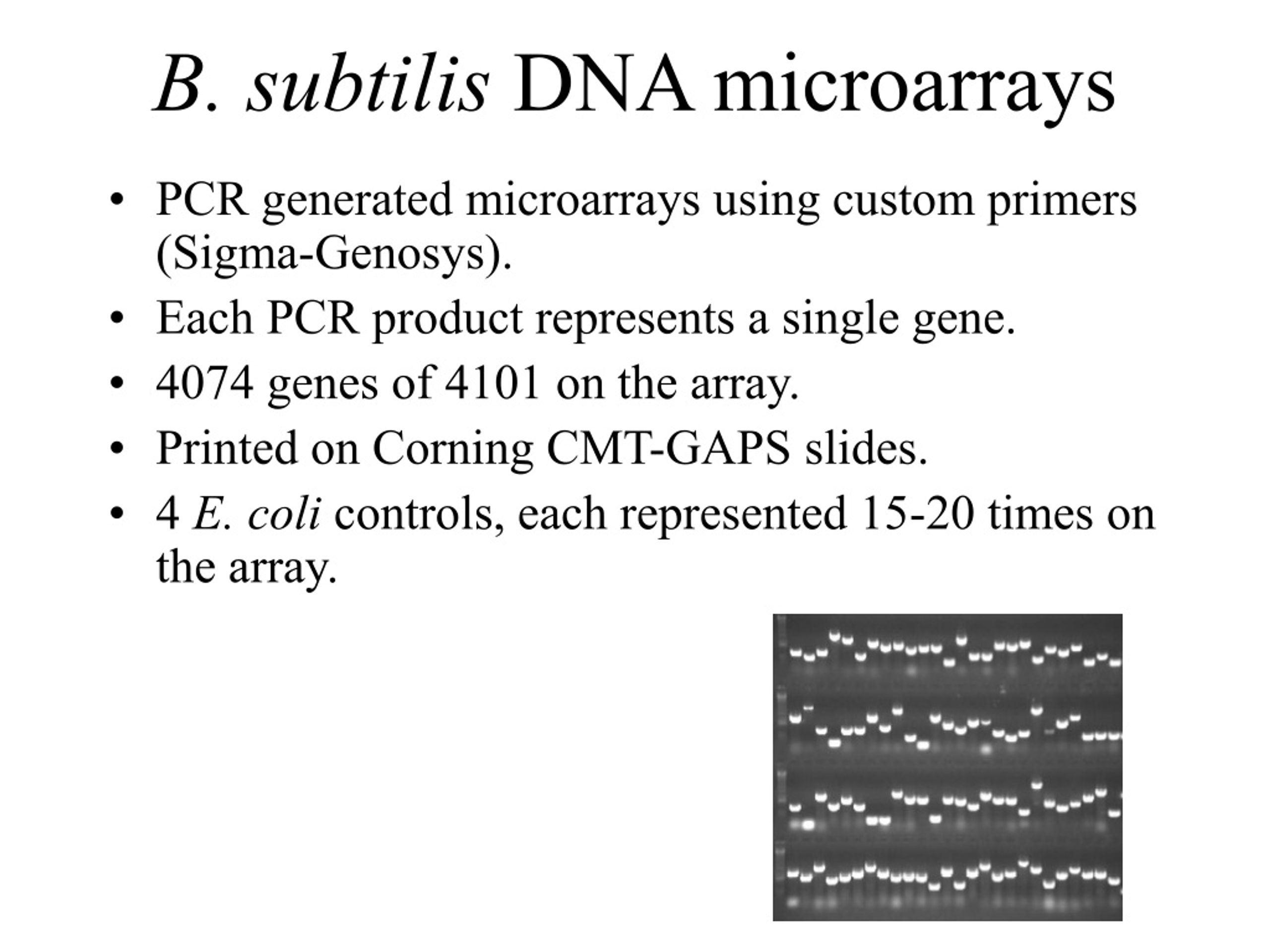 PPT - Gene Expression And DNA Microarrays PowerPoint Presentation, Free ...