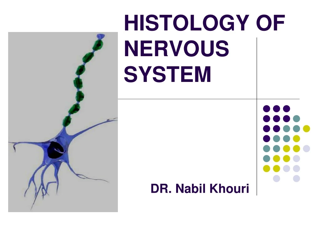 PPT - HISTOLOGY OF NERVOUS SYSTEM PowerPoint Presentation, free ...