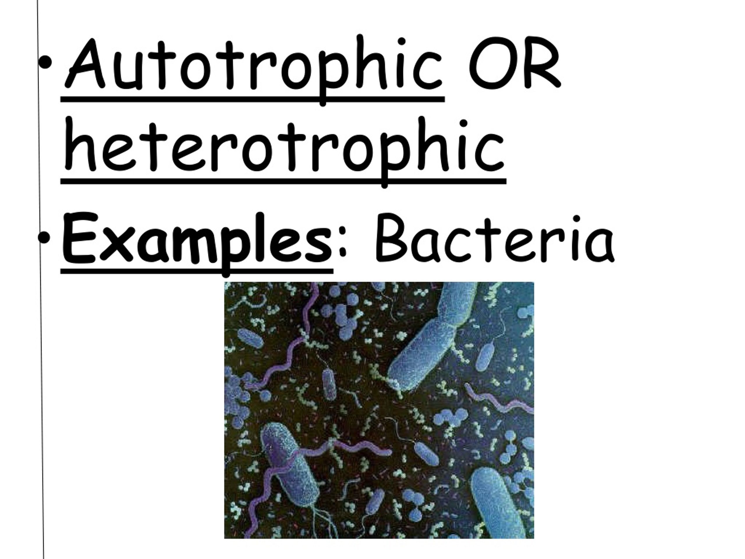 ppt-topic-classification-aim-how-are-organisms-classified-into