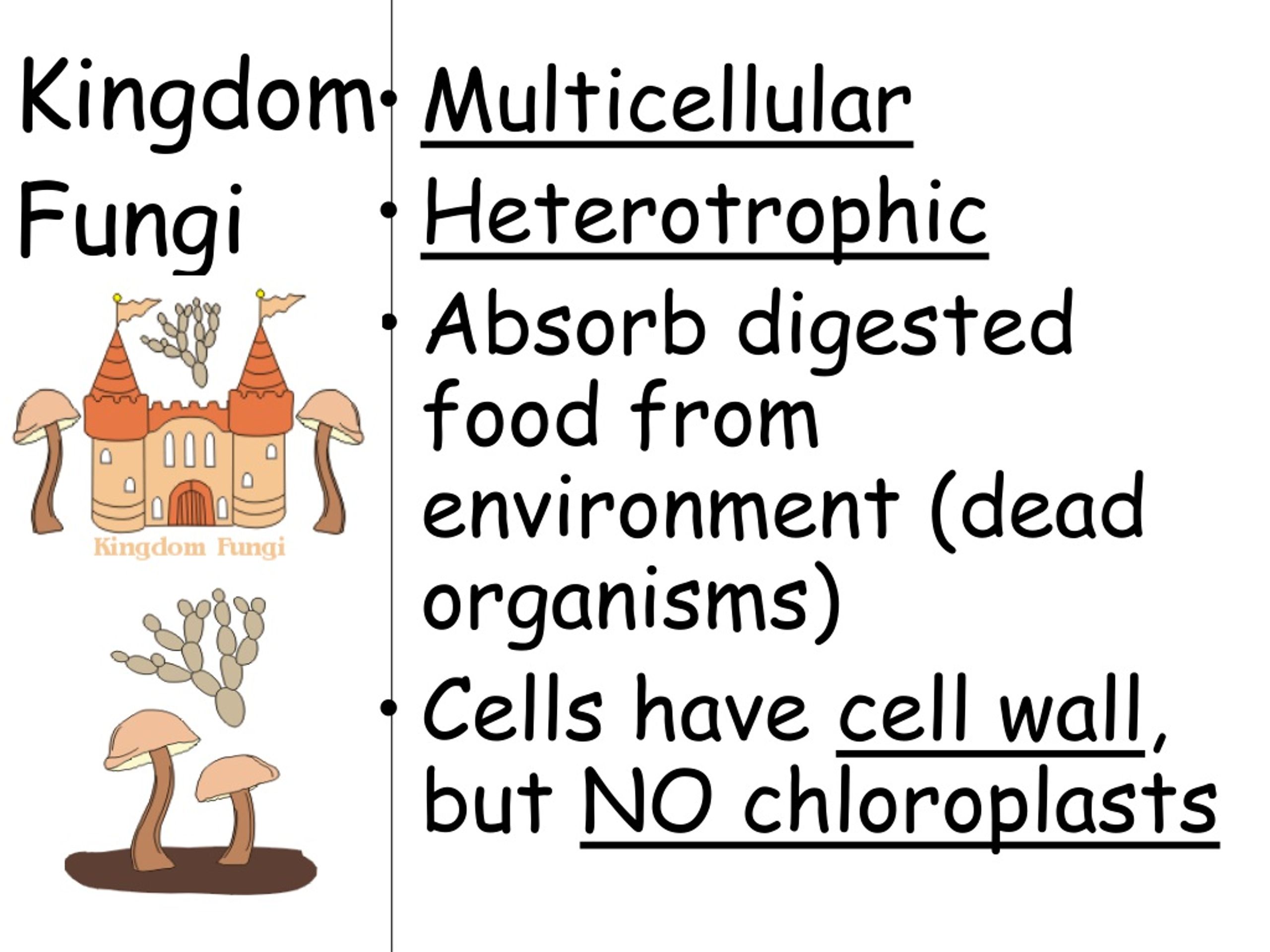 ppt-topic-classification-aim-how-are-organisms-classified-into