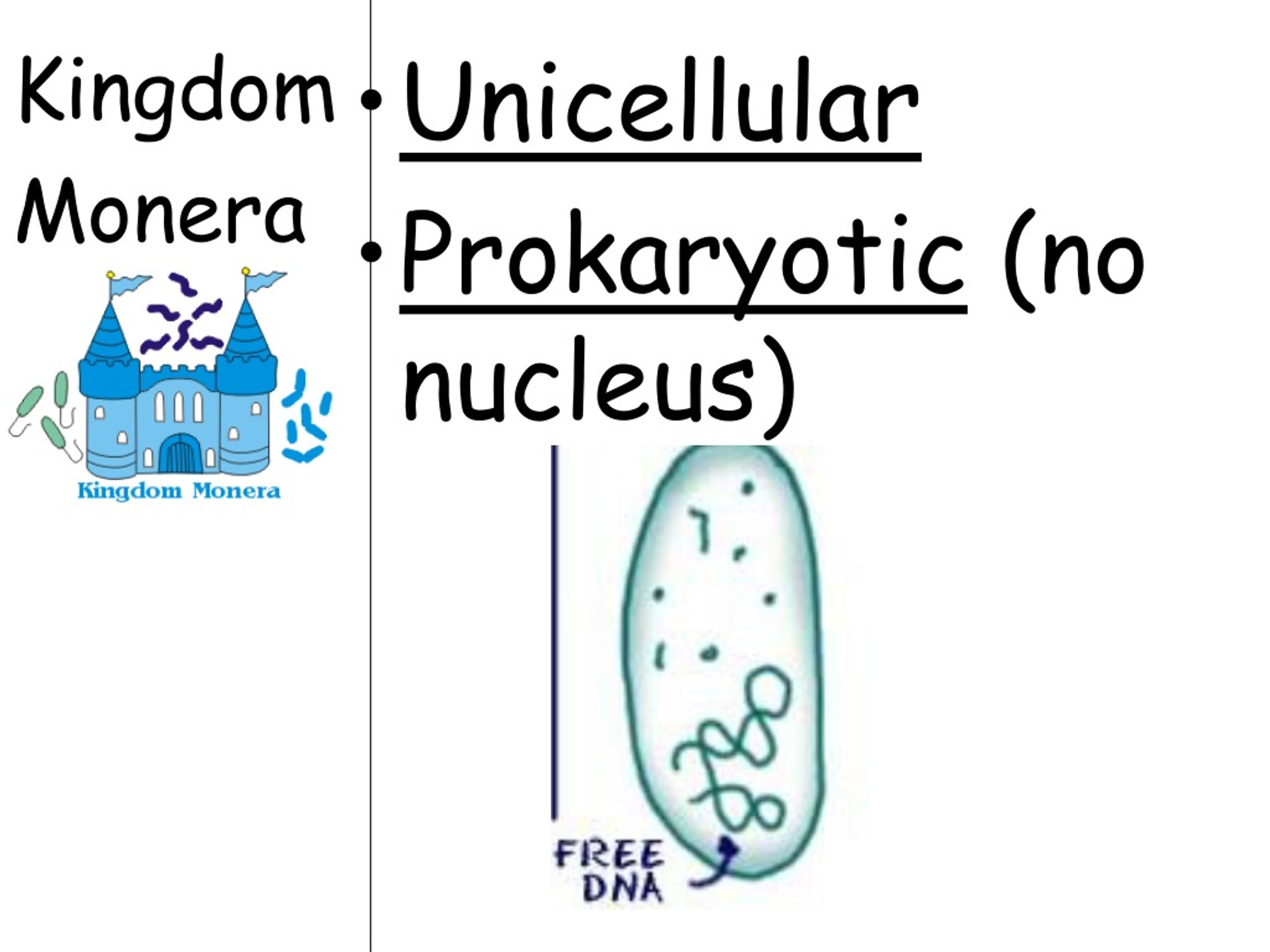 ppt-topic-classification-aim-how-are-organisms-classified-into