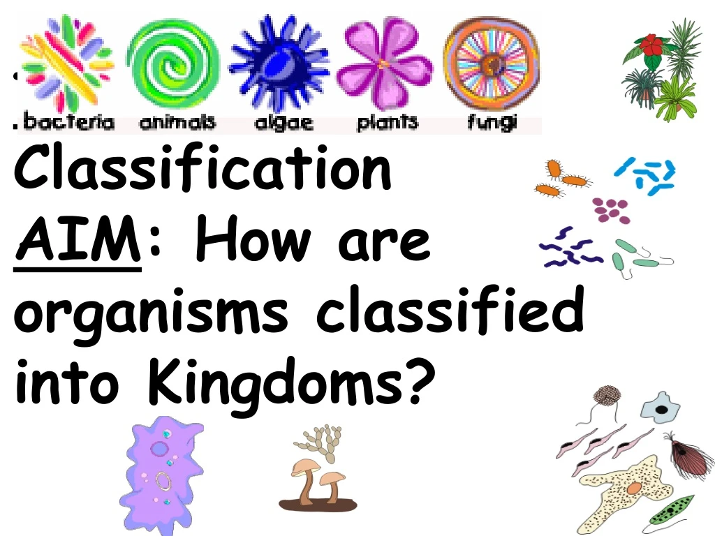 ppt-topic-classification-aim-how-are-organisms-classified-into